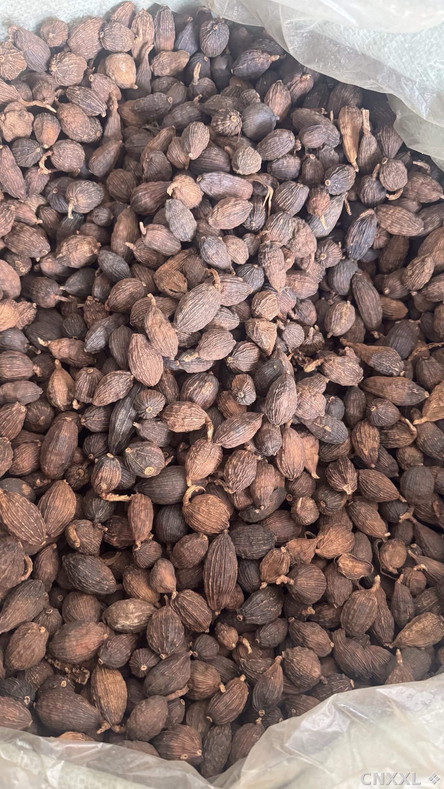 spice_12689_d6d882a8_3.jpg