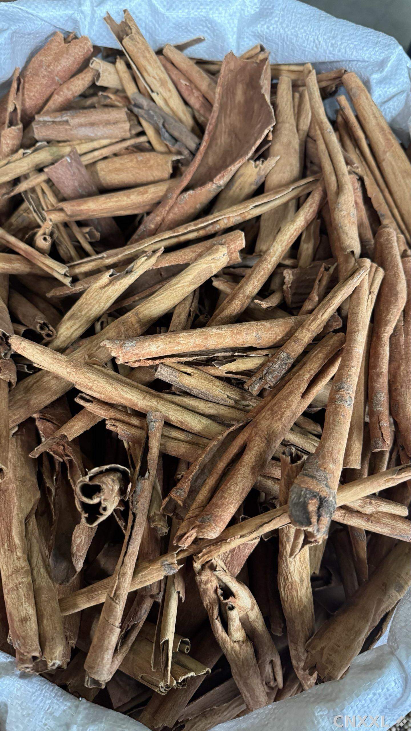 spice_12994_ba85c3c8_3.jpg