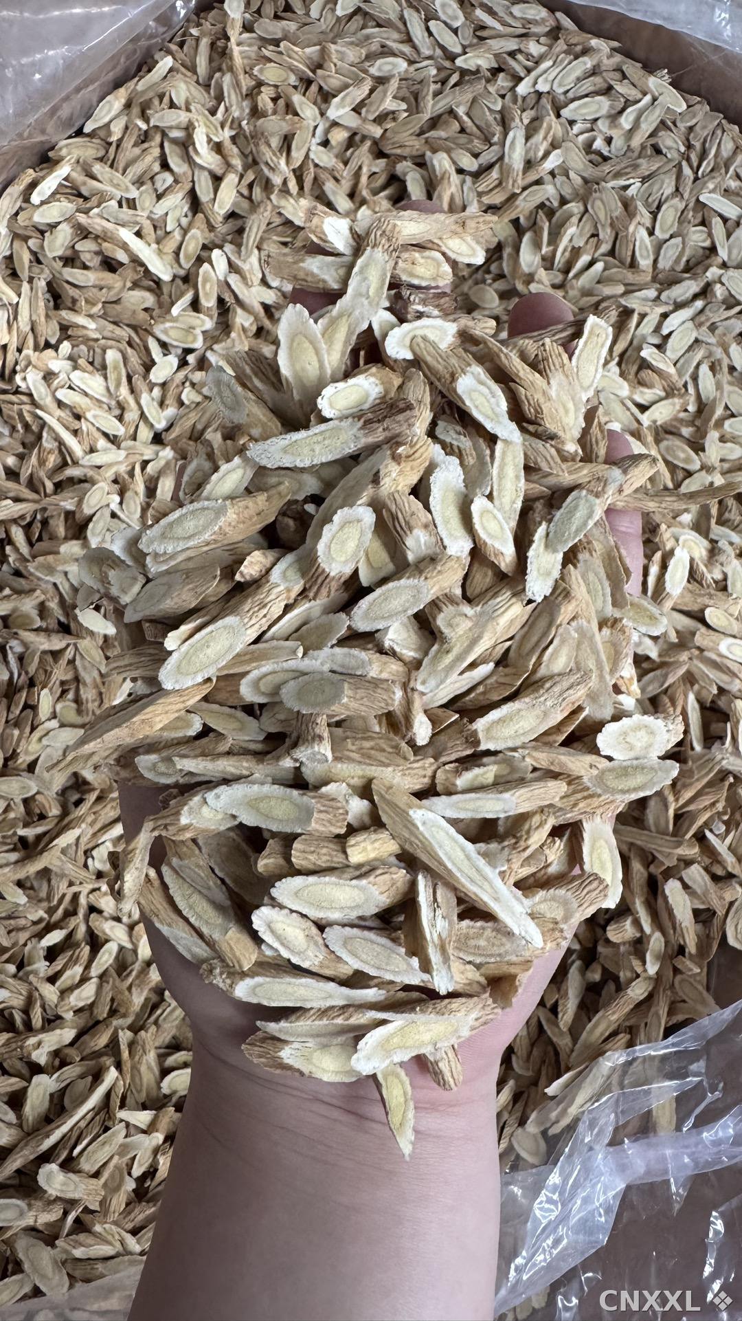 spice_12995_847ebef4_1.jpg