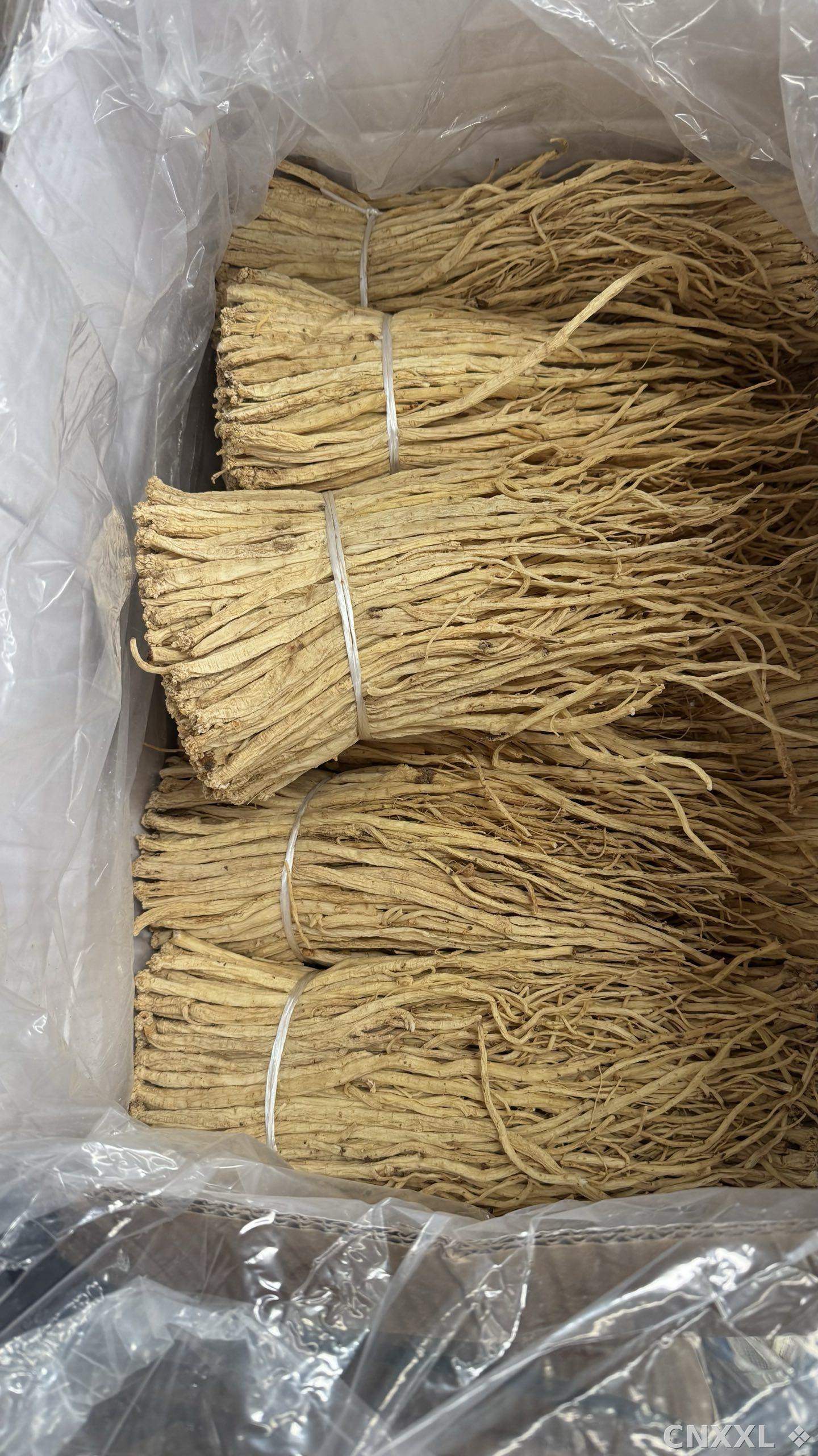 spice_12996_30a9eebf_3.jpg