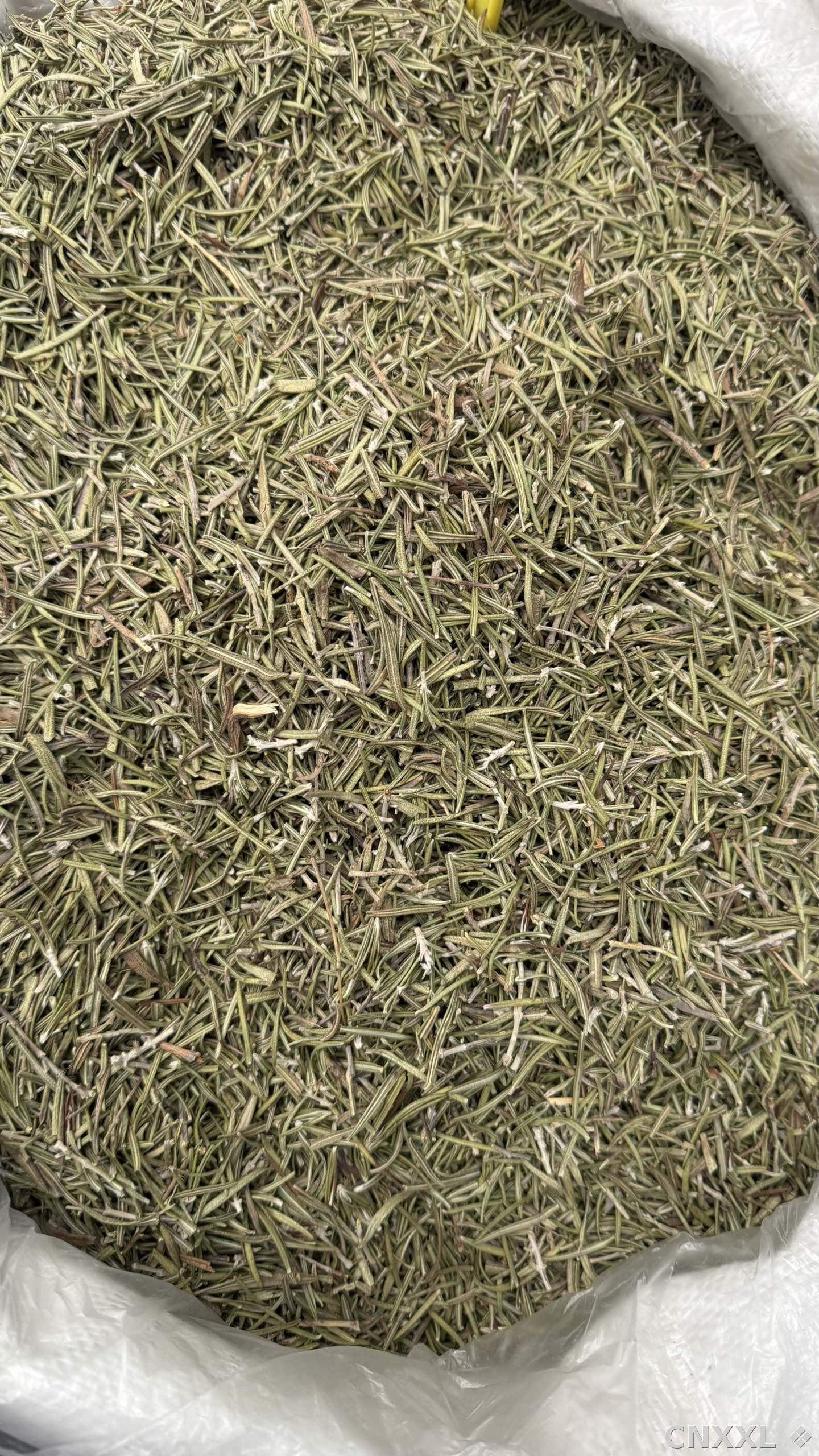 spice_13003_19a07ee2_3.jpg