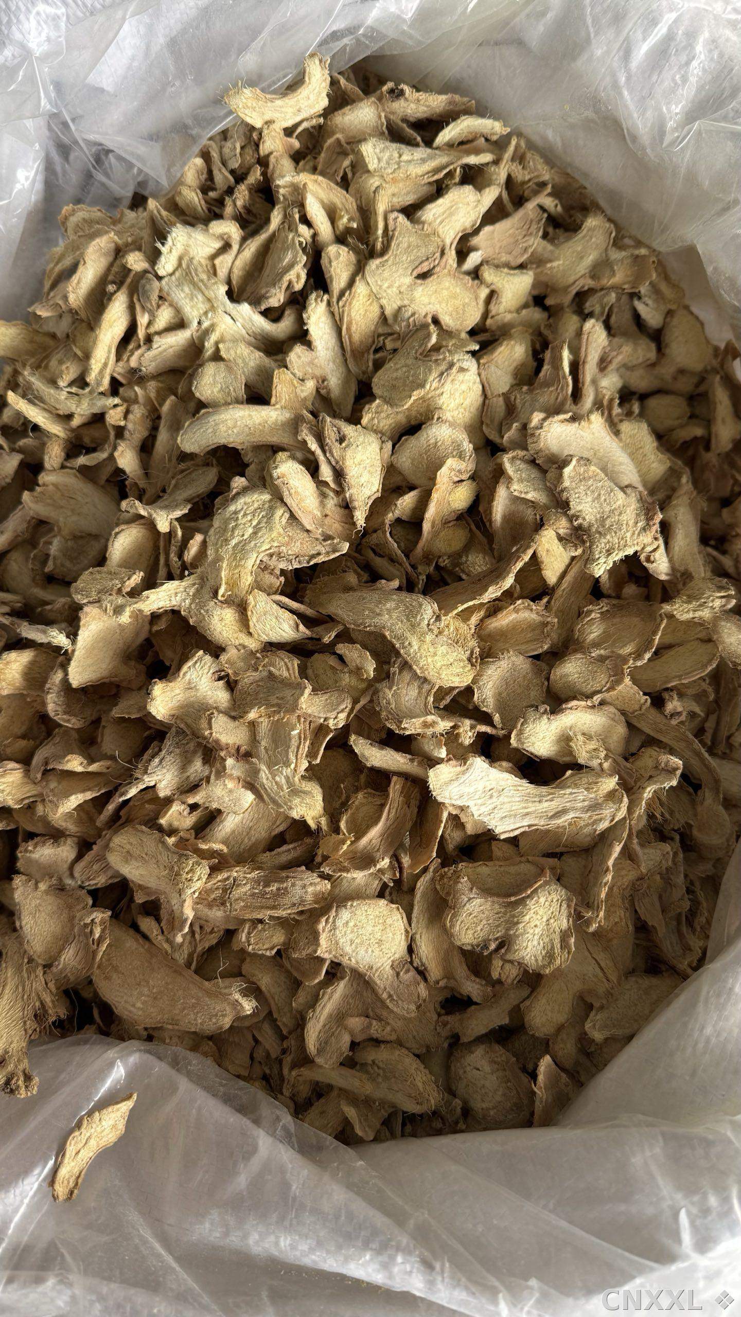 spice_13074_419b2e7b_3.jpg