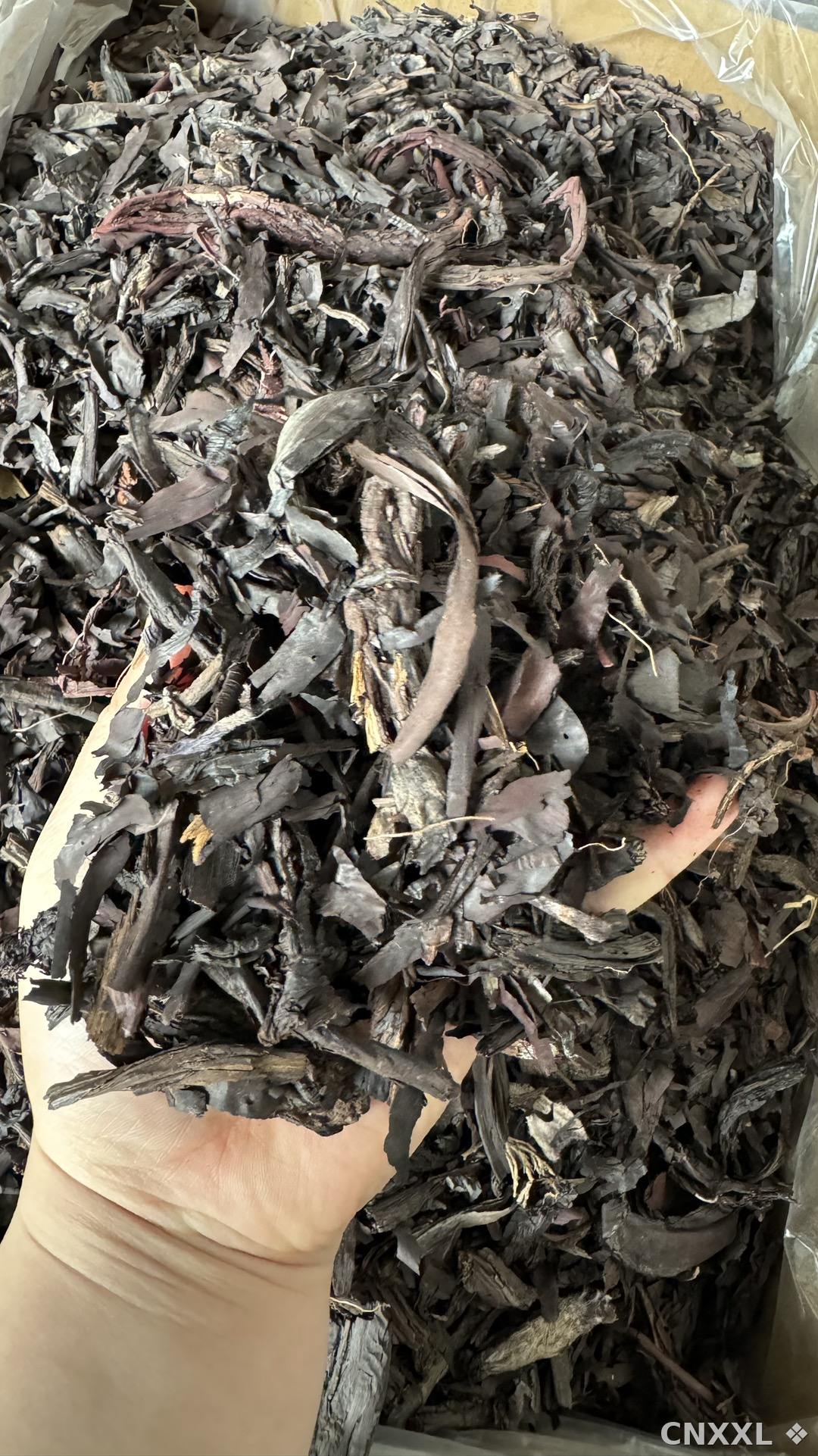 spice_13169_40ca7b9d_1.jpg
