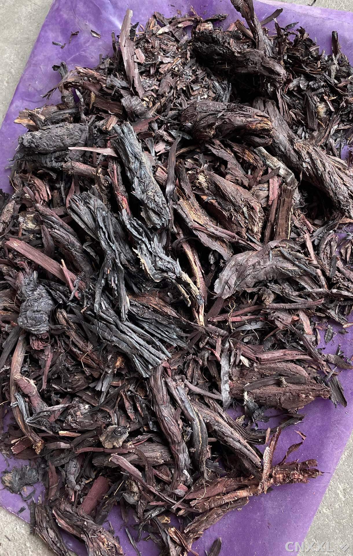 spice_13171_6e9f8108_2.jpg