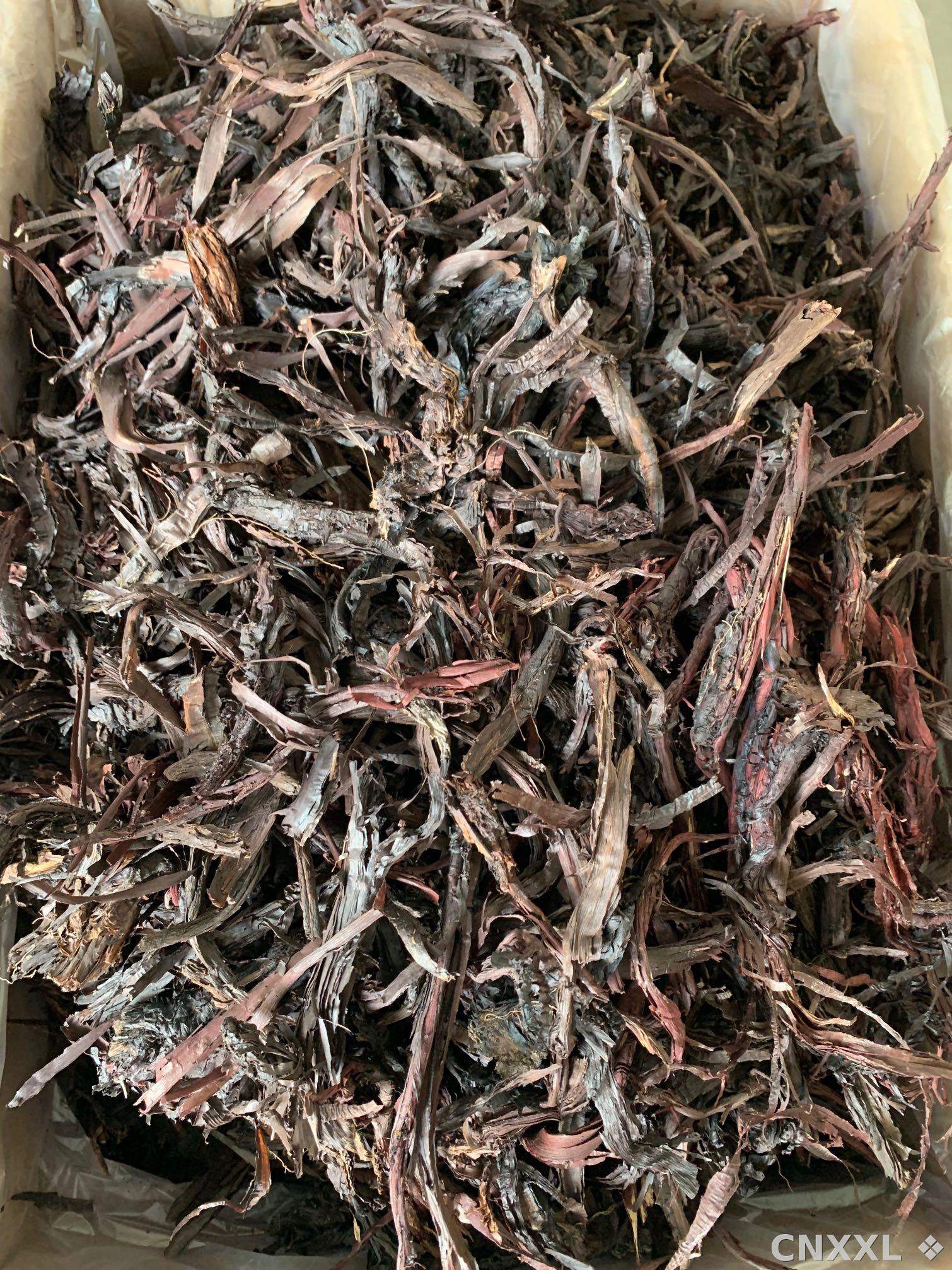 spice_13174_fd2d5505_1.jpg
