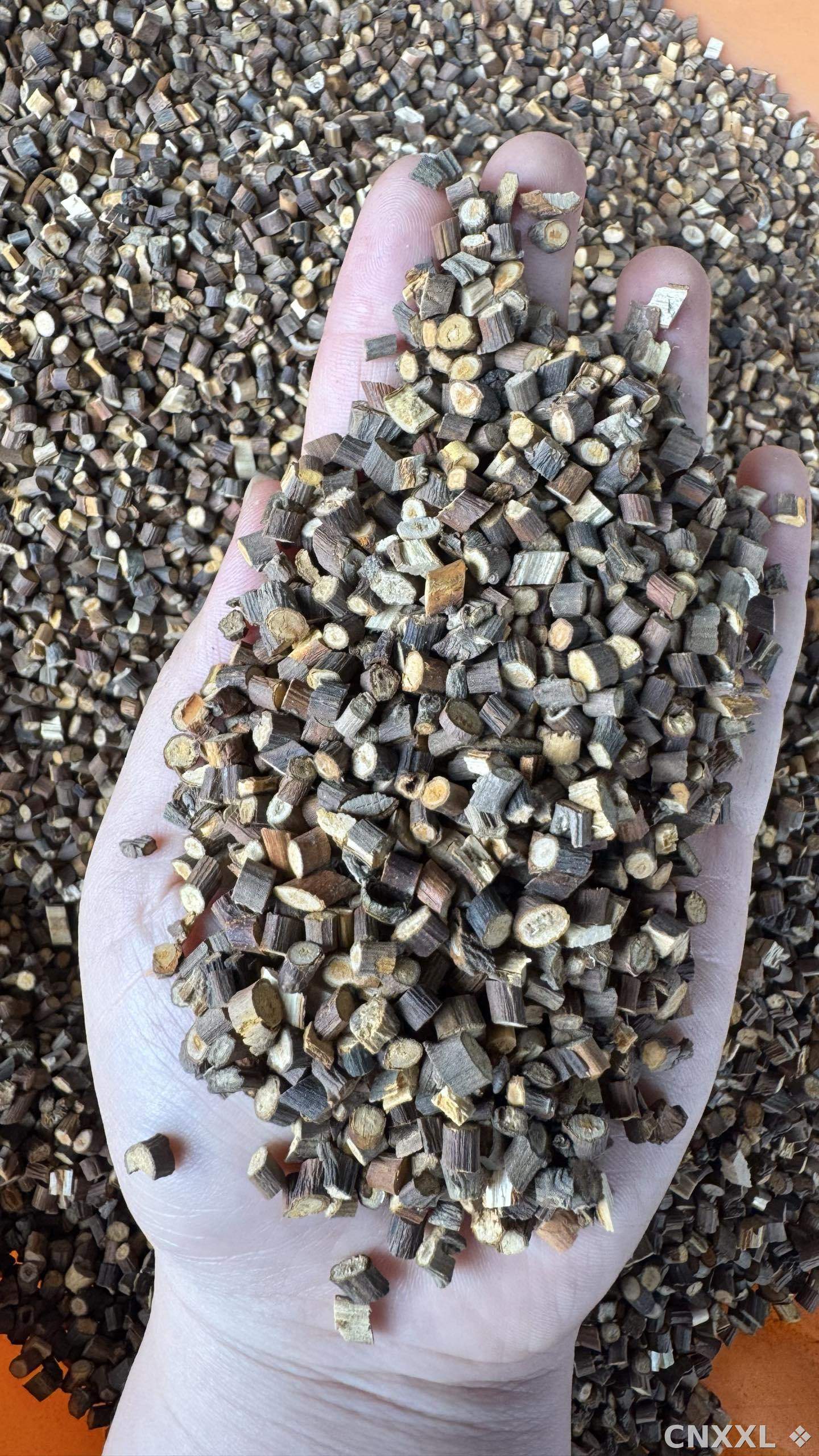 spice_13197_f79c88ef_2.jpg