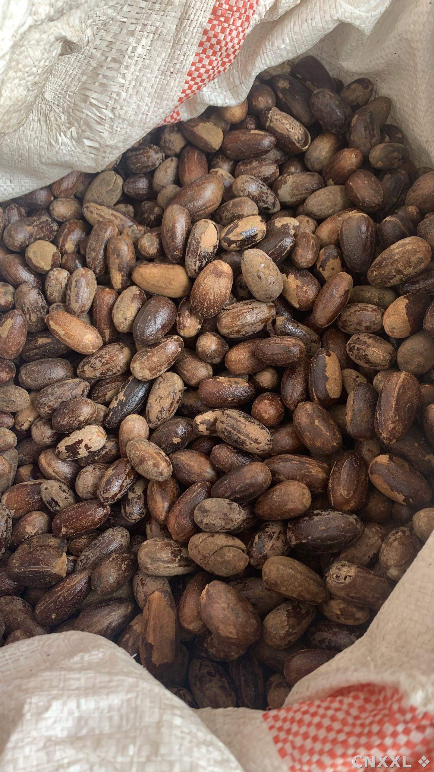 spice_13266_a4b5c879_3.jpg