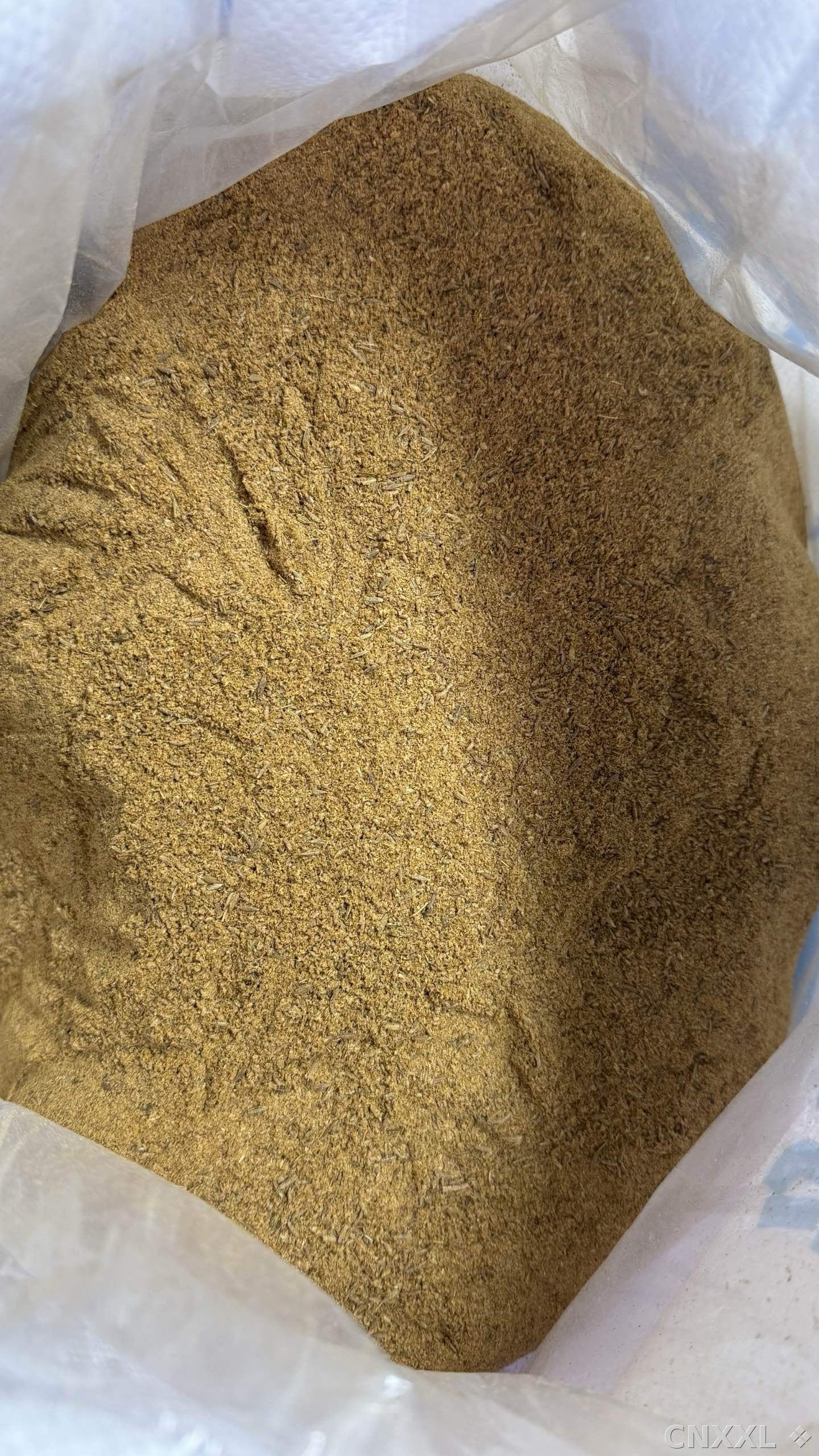 spice_141_e7d645cd_2.jpg