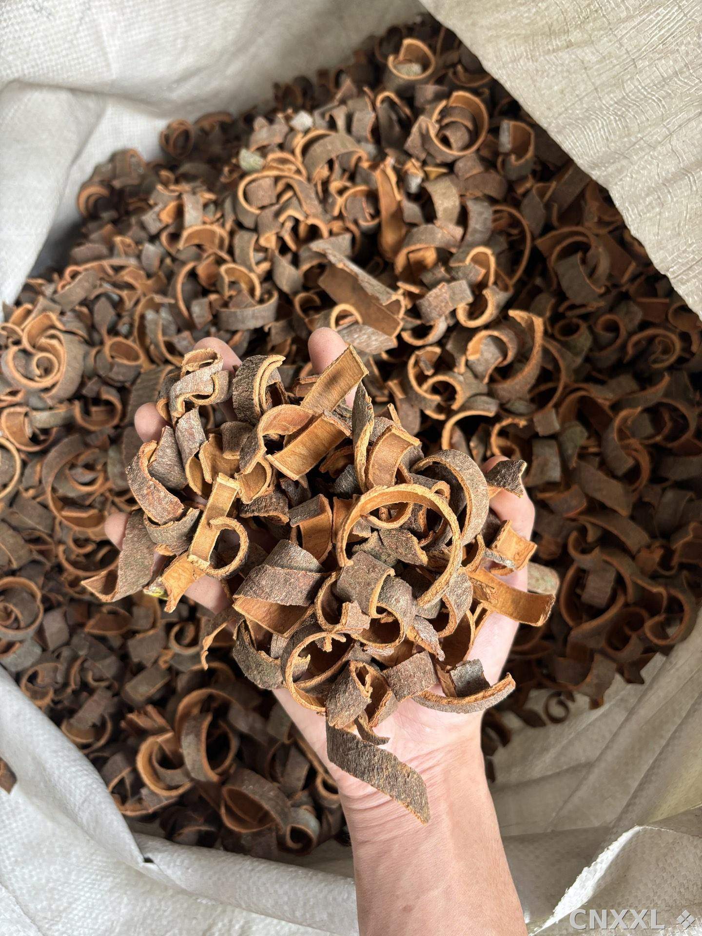 spice_144_8b68a977_1.jpg