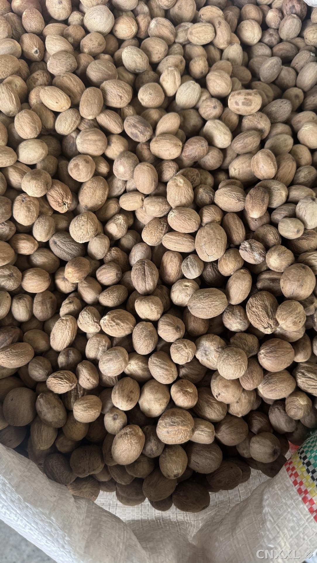 spice_1491_33c039c6_3.jpg