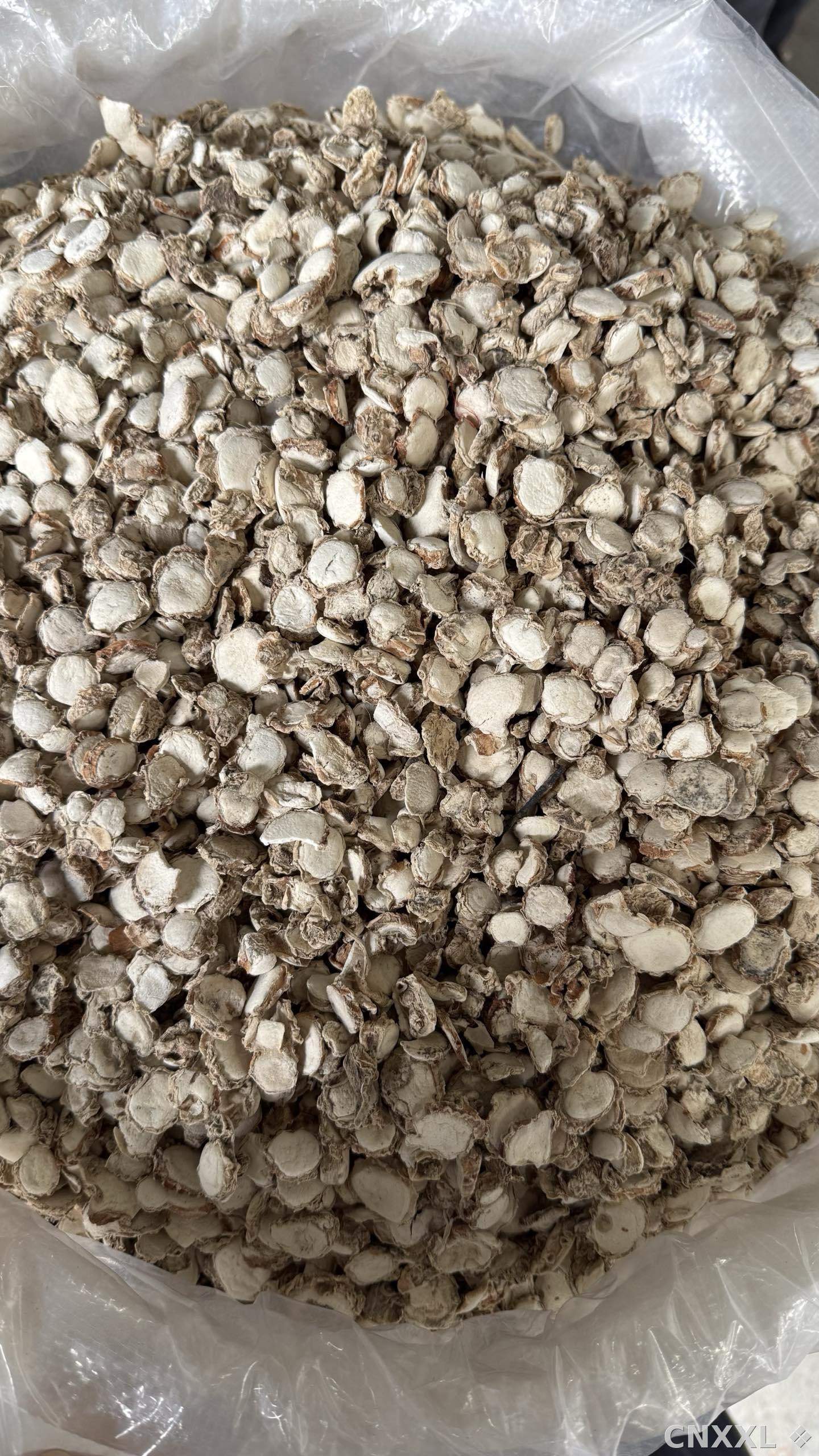 spice_1493_fd03bc06_3.jpg