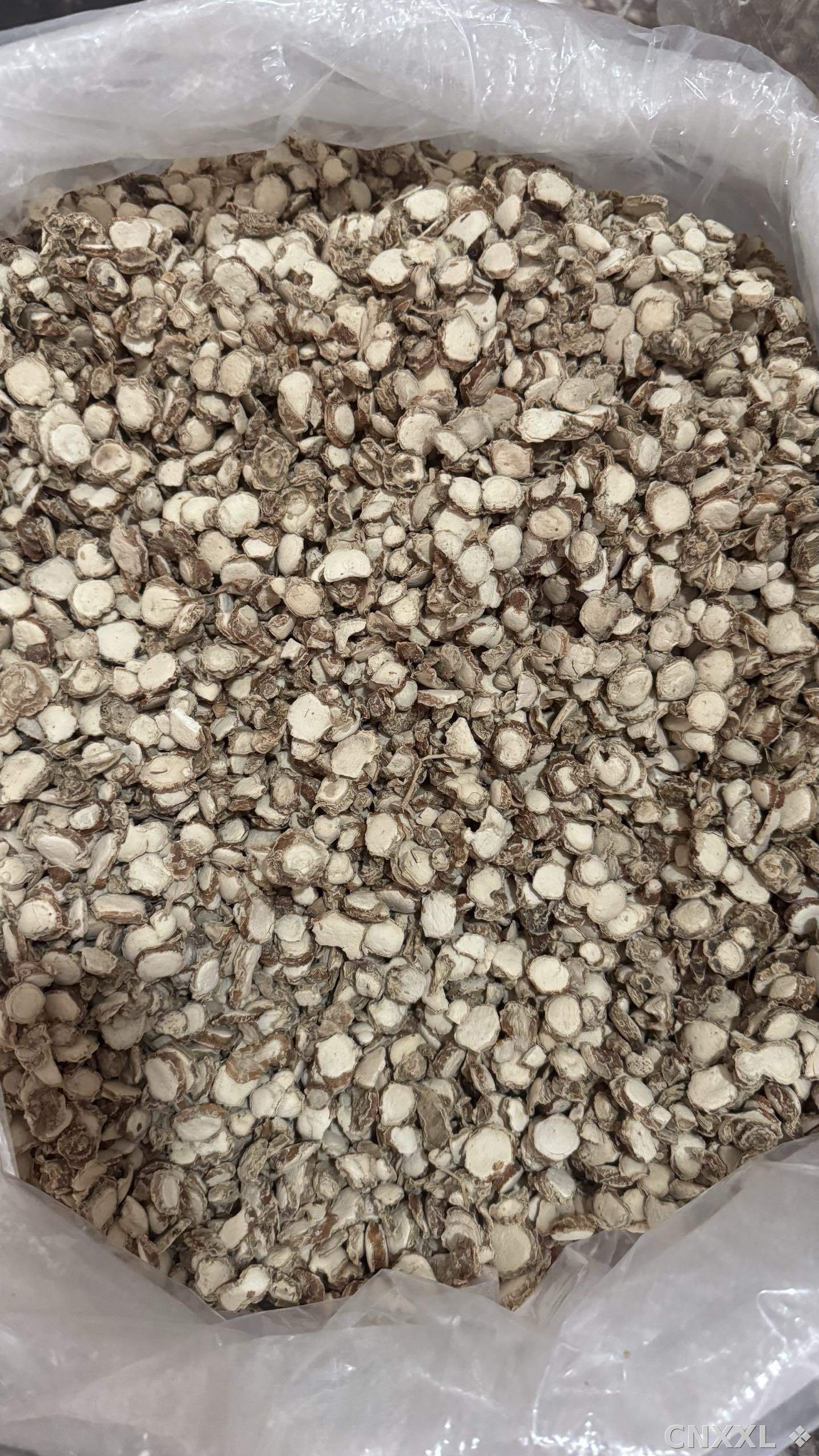 spice_1494_085da65c_3.jpg