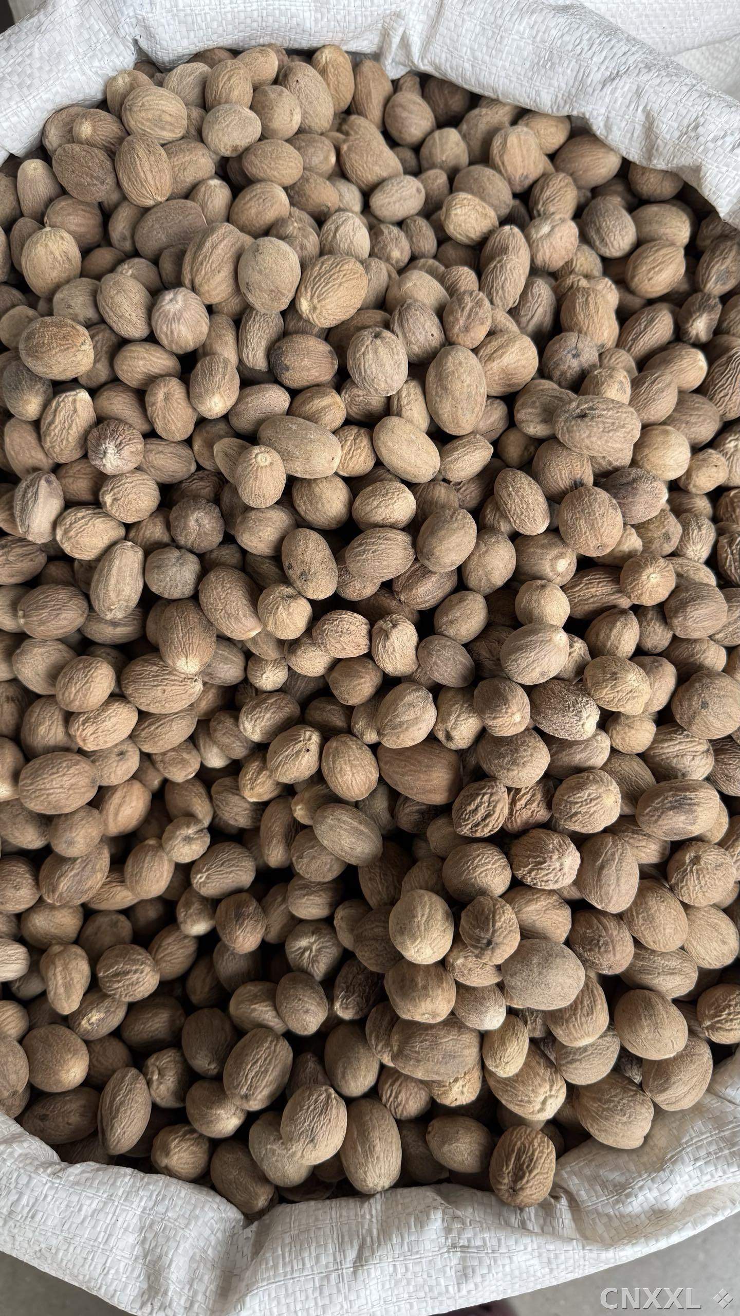 spice_14_d5f5d938_3.jpg