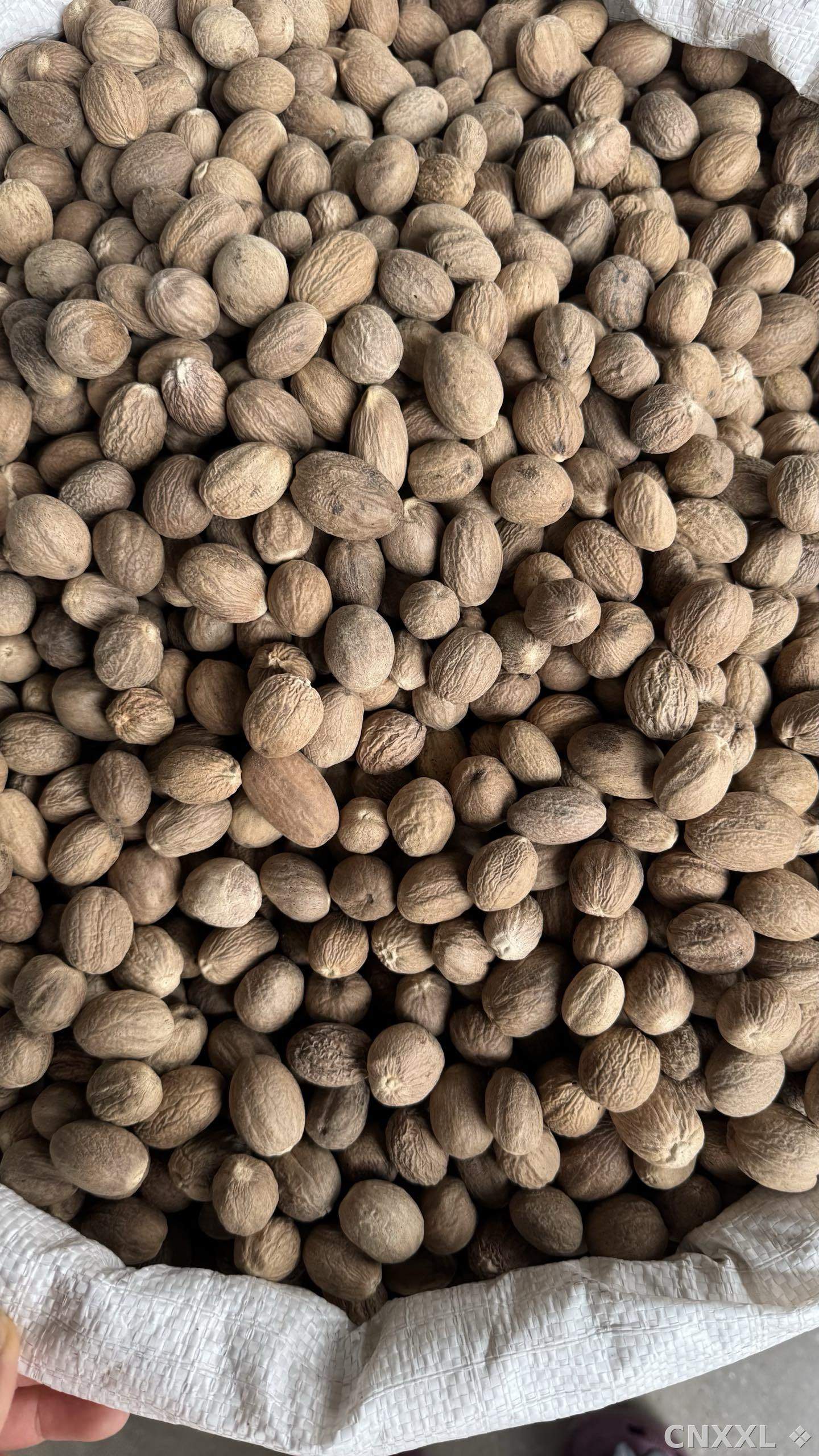 spice_14_dfccc484_2.jpg