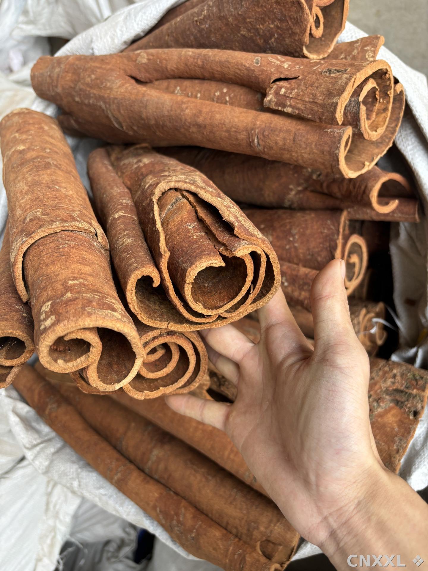 spice_1504_a0d4ac03_1.jpg