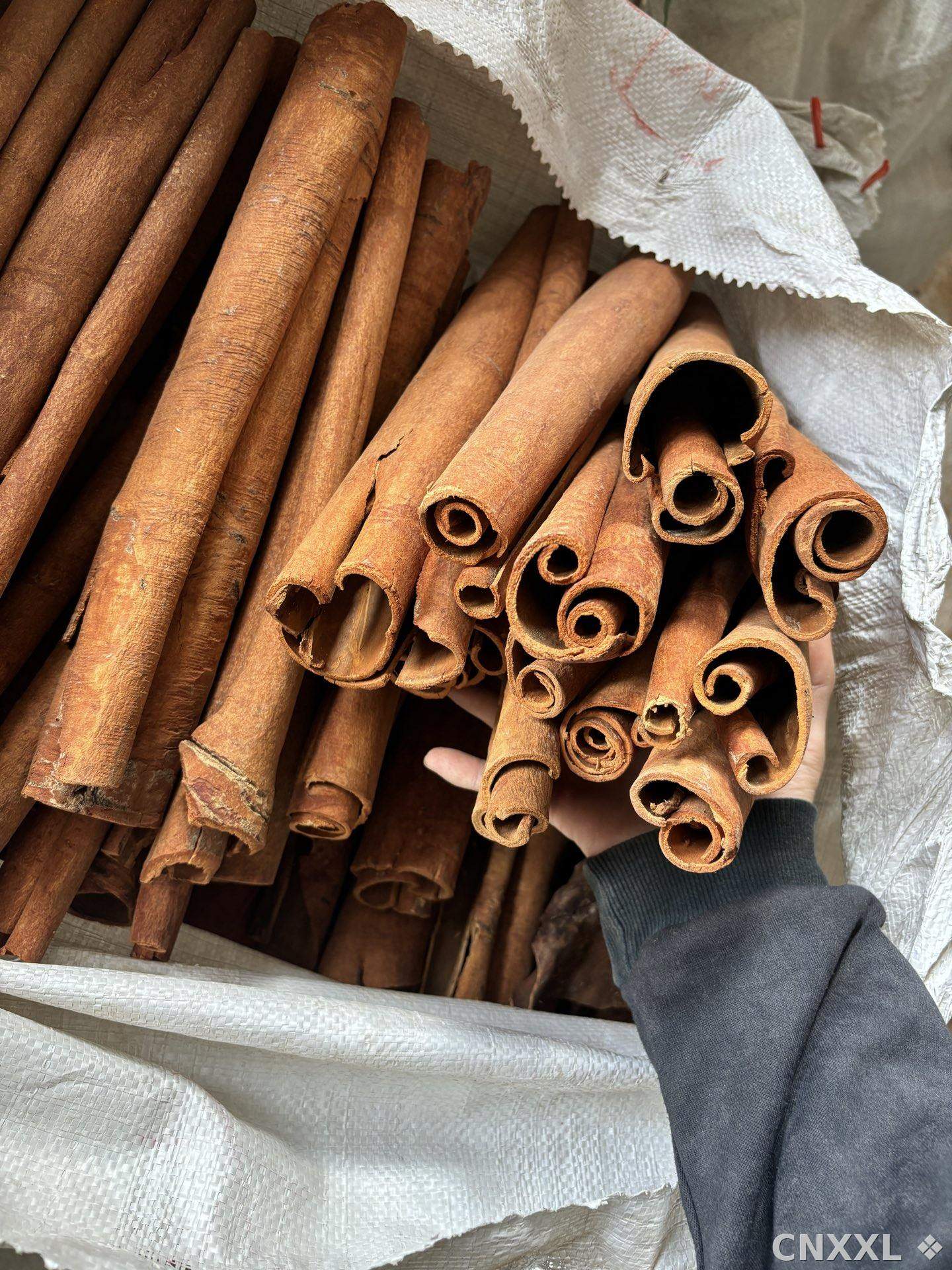 spice_1508_2b44b6ac_3.jpg