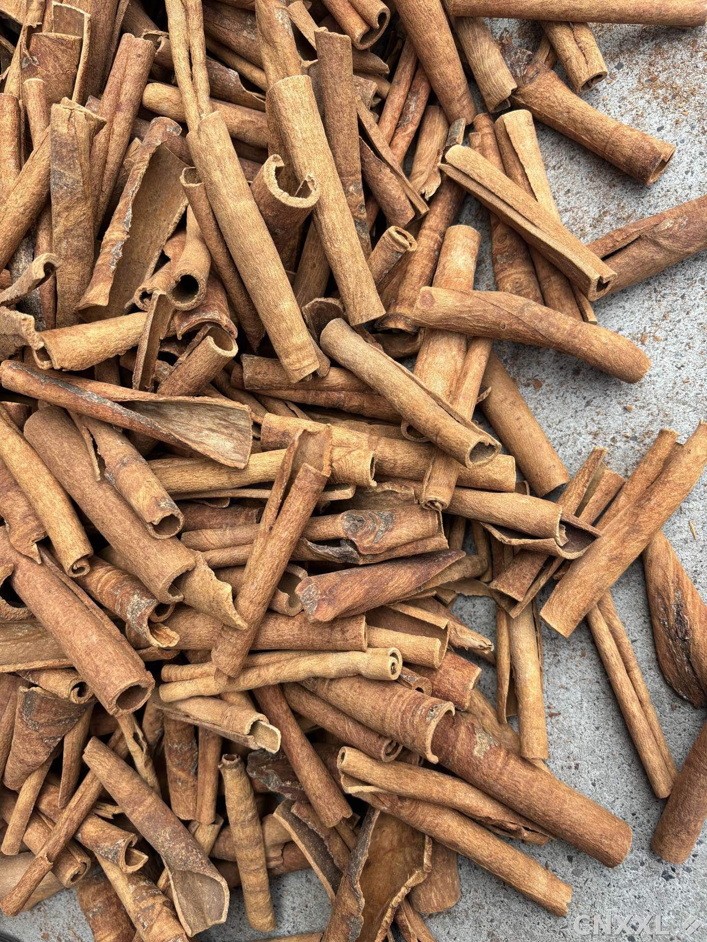 spice_1511_a5605f5f_3.jpg