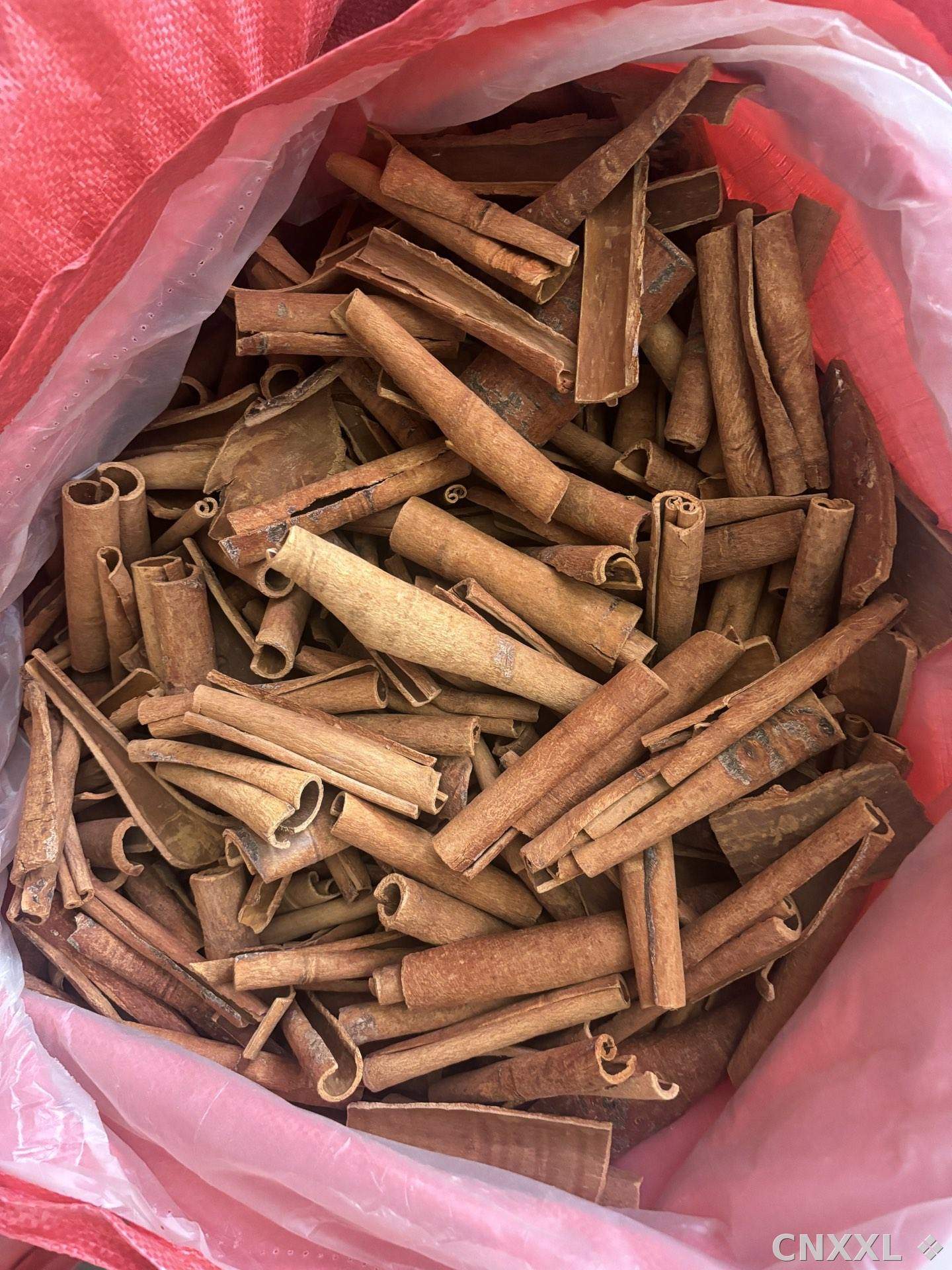 spice_1513_c335b6c6_3.jpg