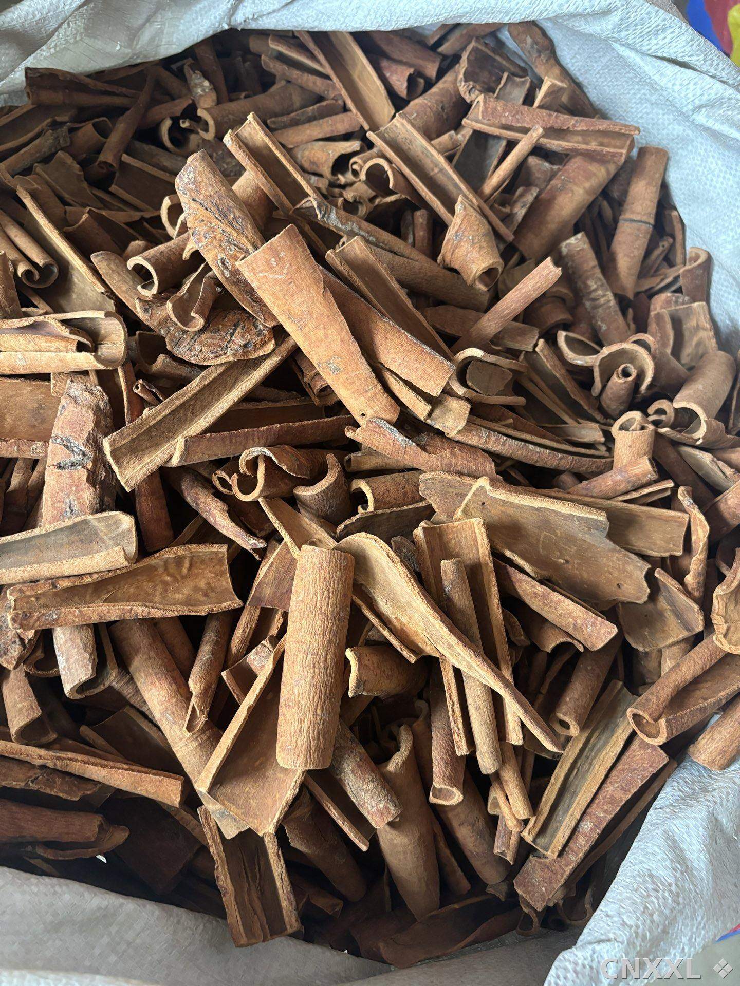 spice_1516_da2023e6_3.jpg