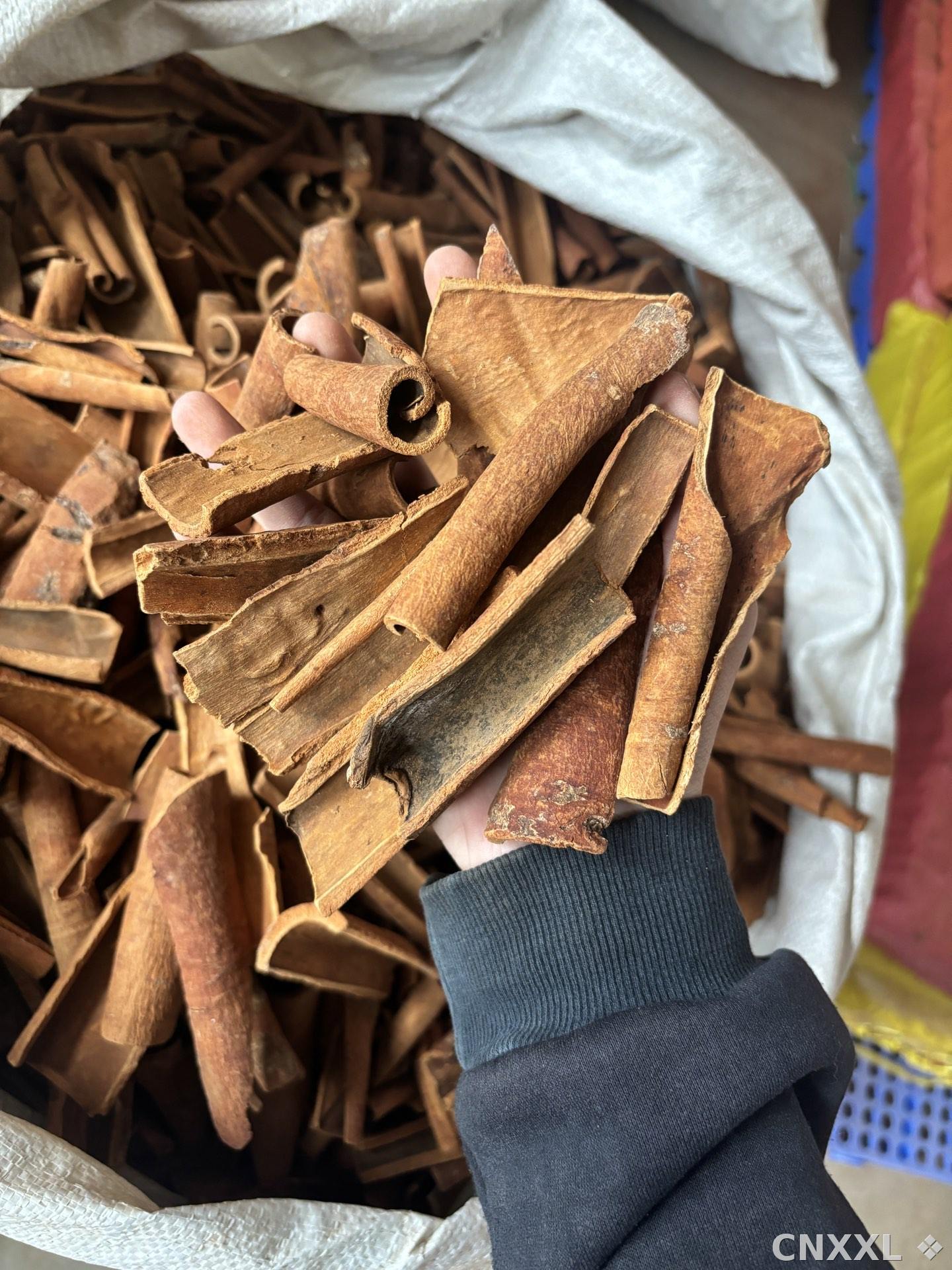 spice_1516_e293ac4c_1.jpg