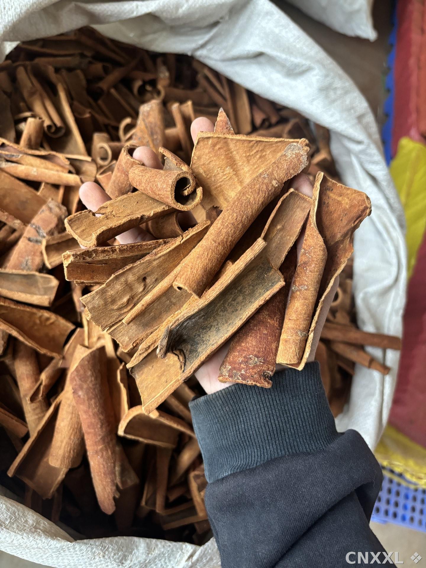 spice_1516_e7d4fb5a_2.jpg