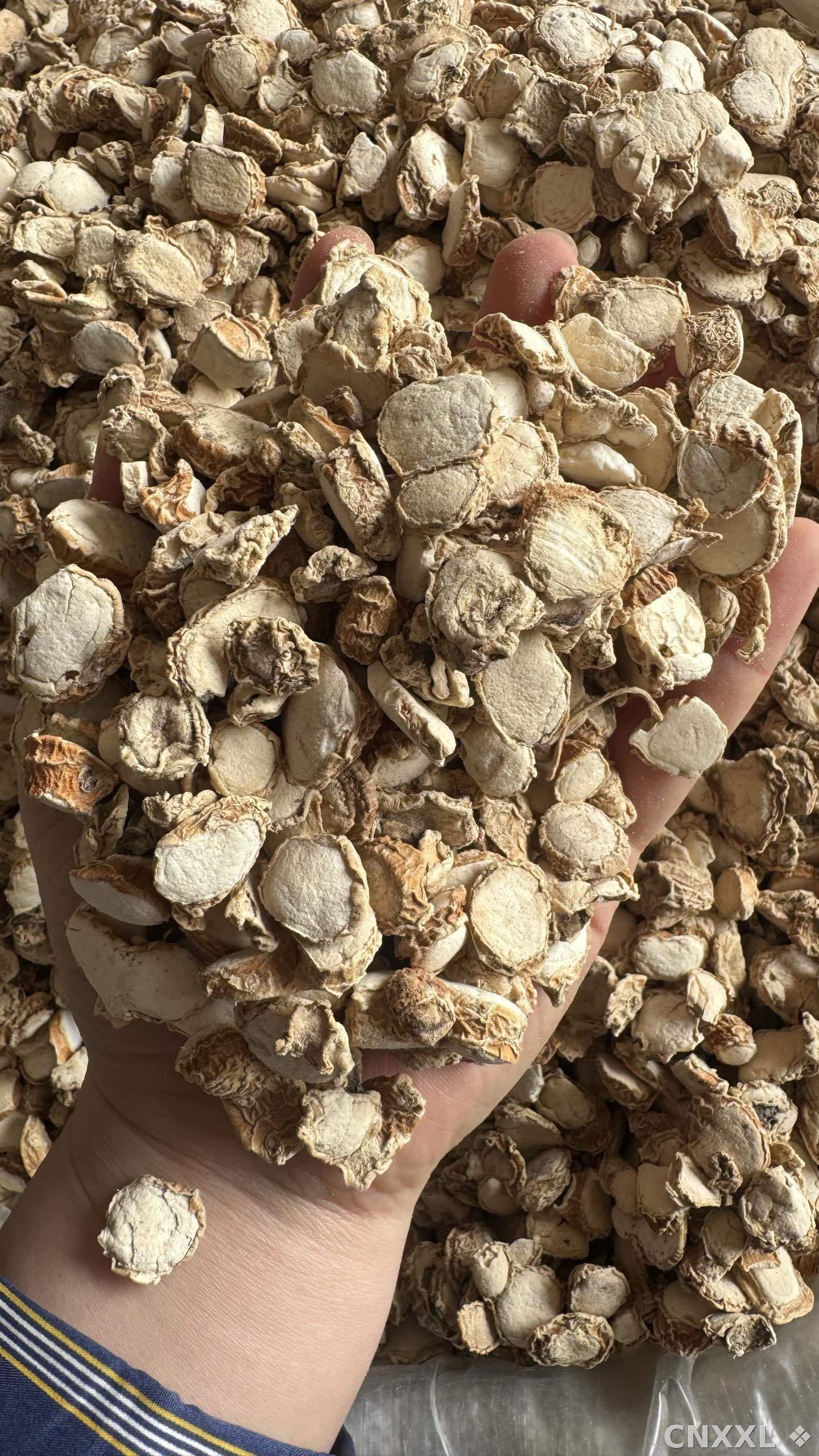 spice_153_ec8db302_2.jpg
