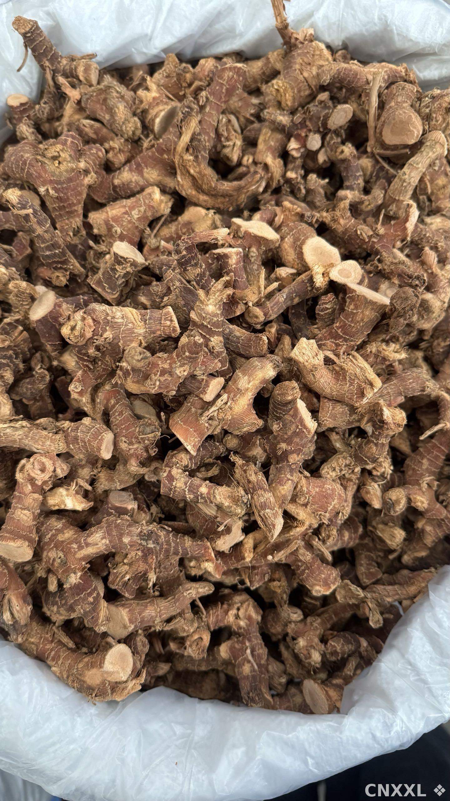 spice_155_496a3de8_3.jpg