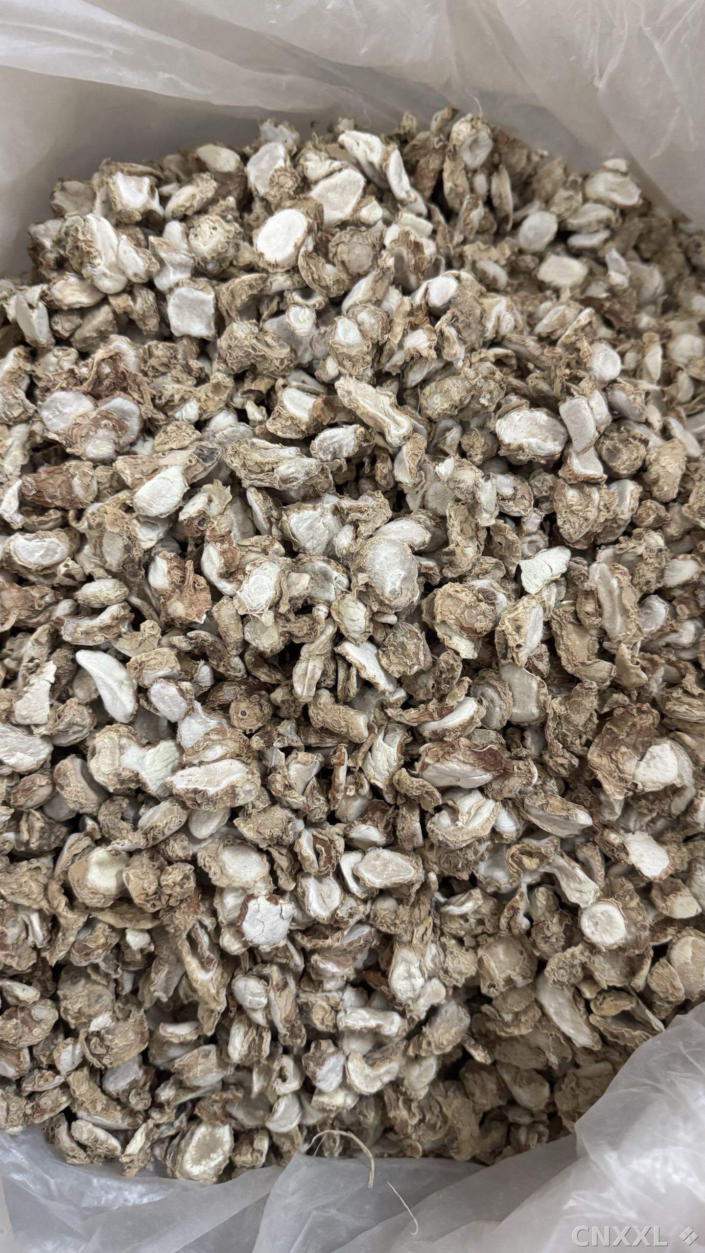 spice_162_43c80cb1_2.jpg