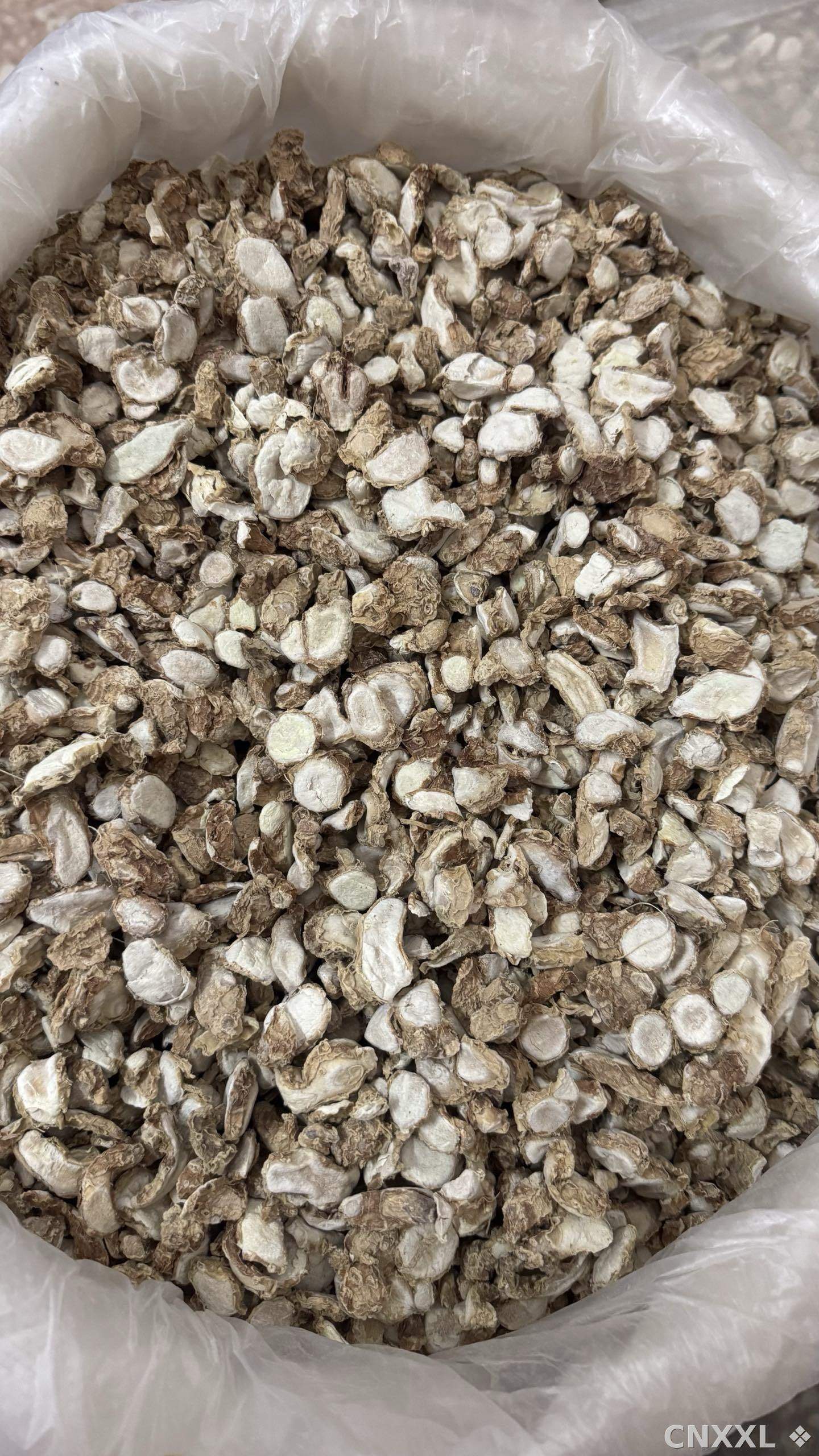 spice_164_65efcff1_3.jpg