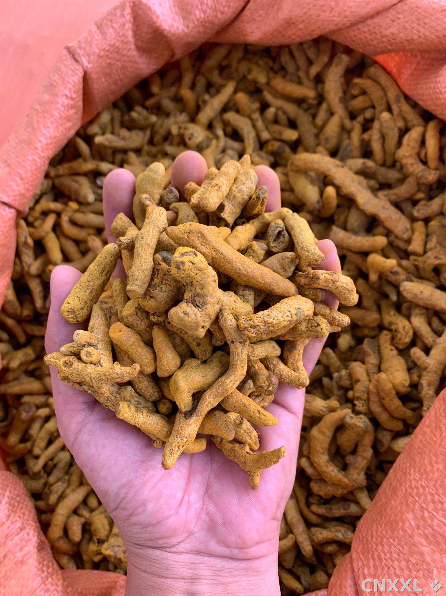 spice_165_5a8eed84_3.jpg