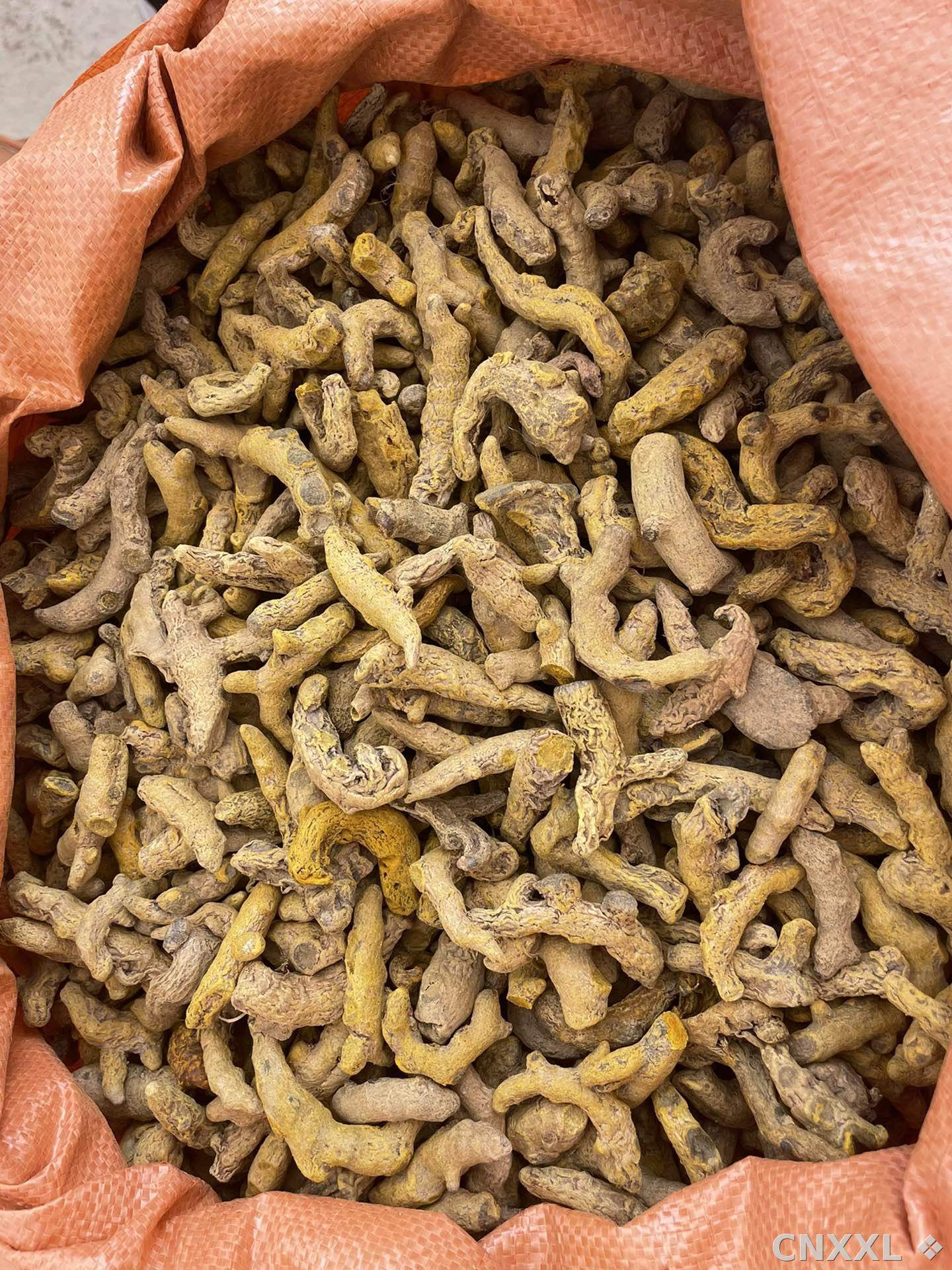 spice_167_eafc8ef3_3.jpg