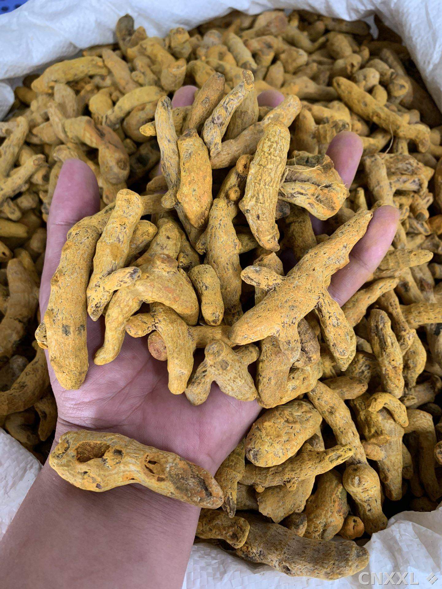 spice_170_7f75cb4b_1.jpg