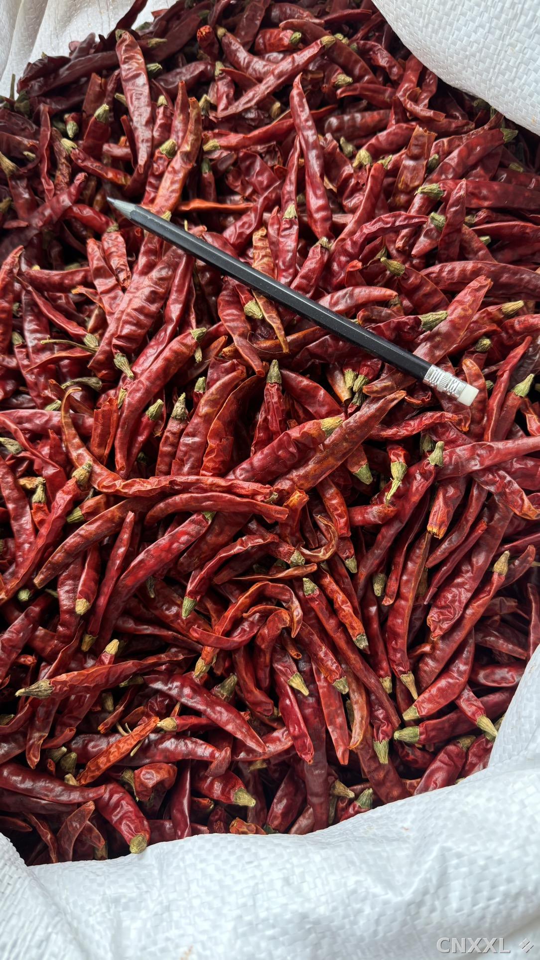 spice_172_dcf18ec2_3.jpg