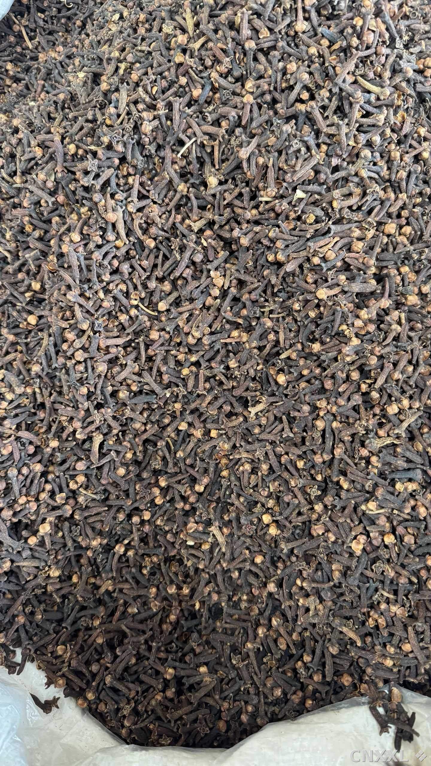 spice_17_c8f2bbc3_3.jpg