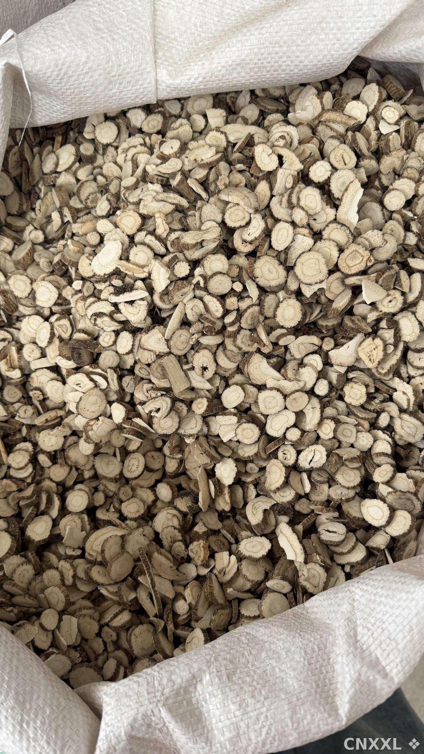 spice_181_18d84a78_3.jpg