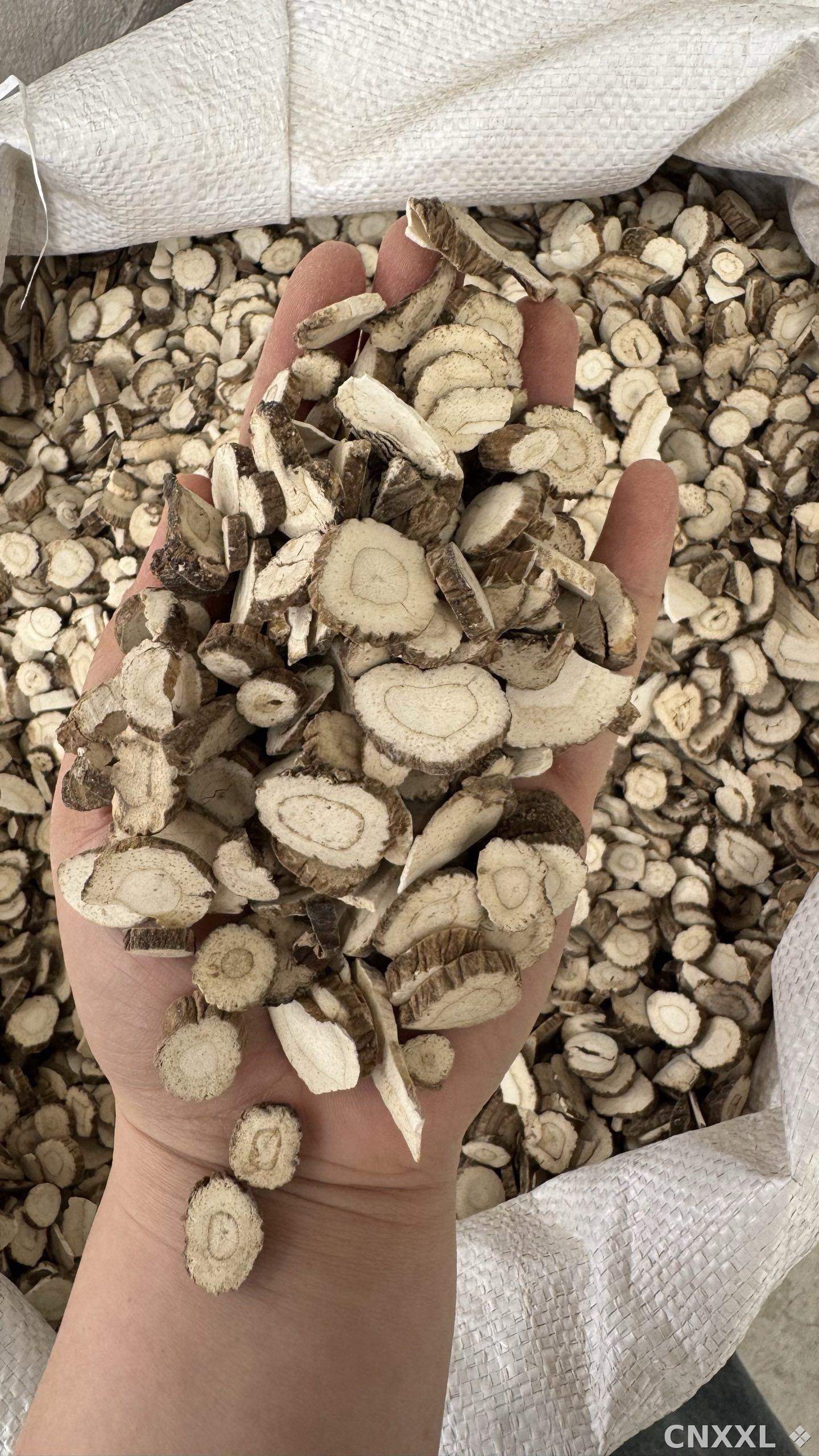 spice_181_c6fc19f2_2.jpg