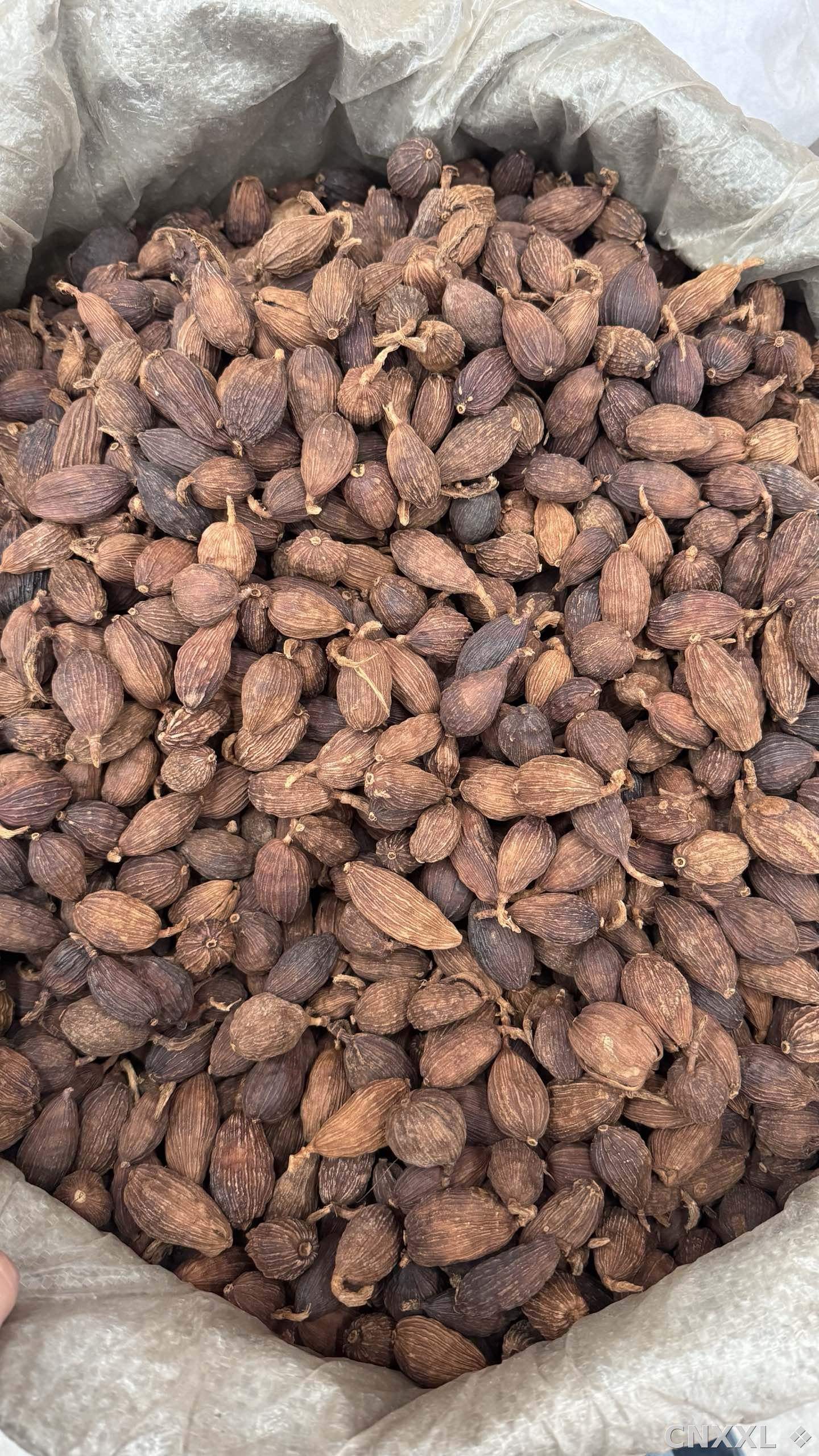 spice_18_82ec077a_3.jpg