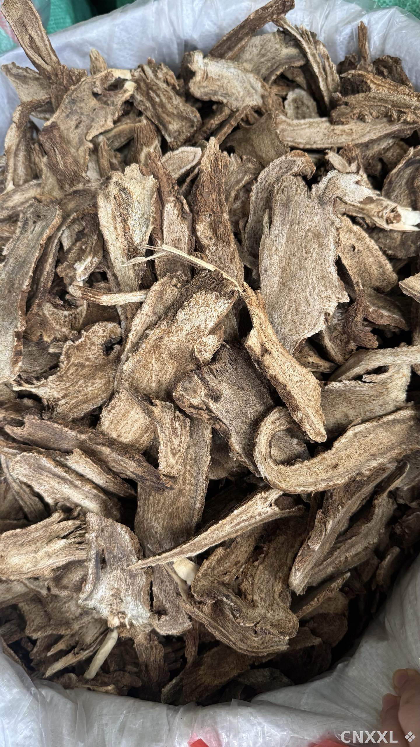 spice_191_219e98d4_3.jpg