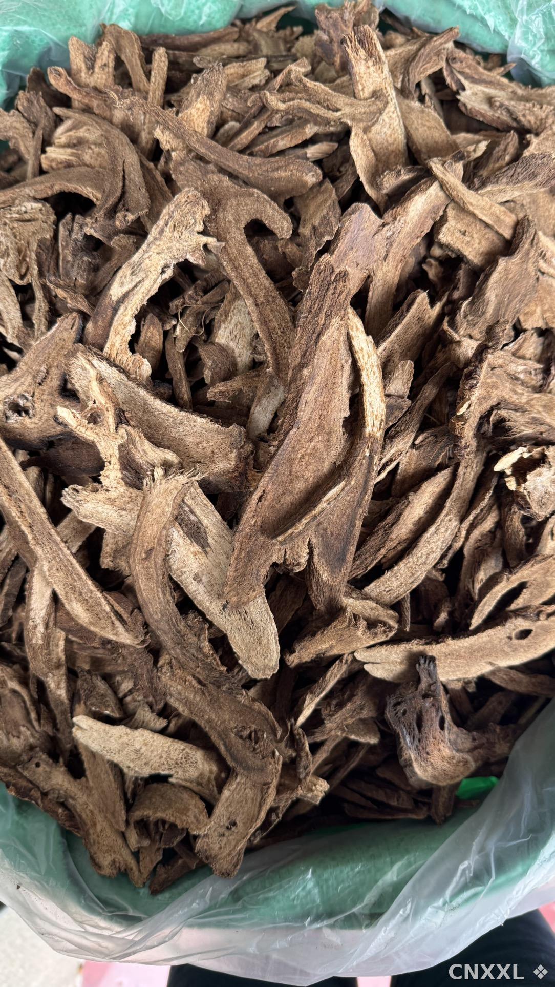 spice_193_c965e79c_3.jpg