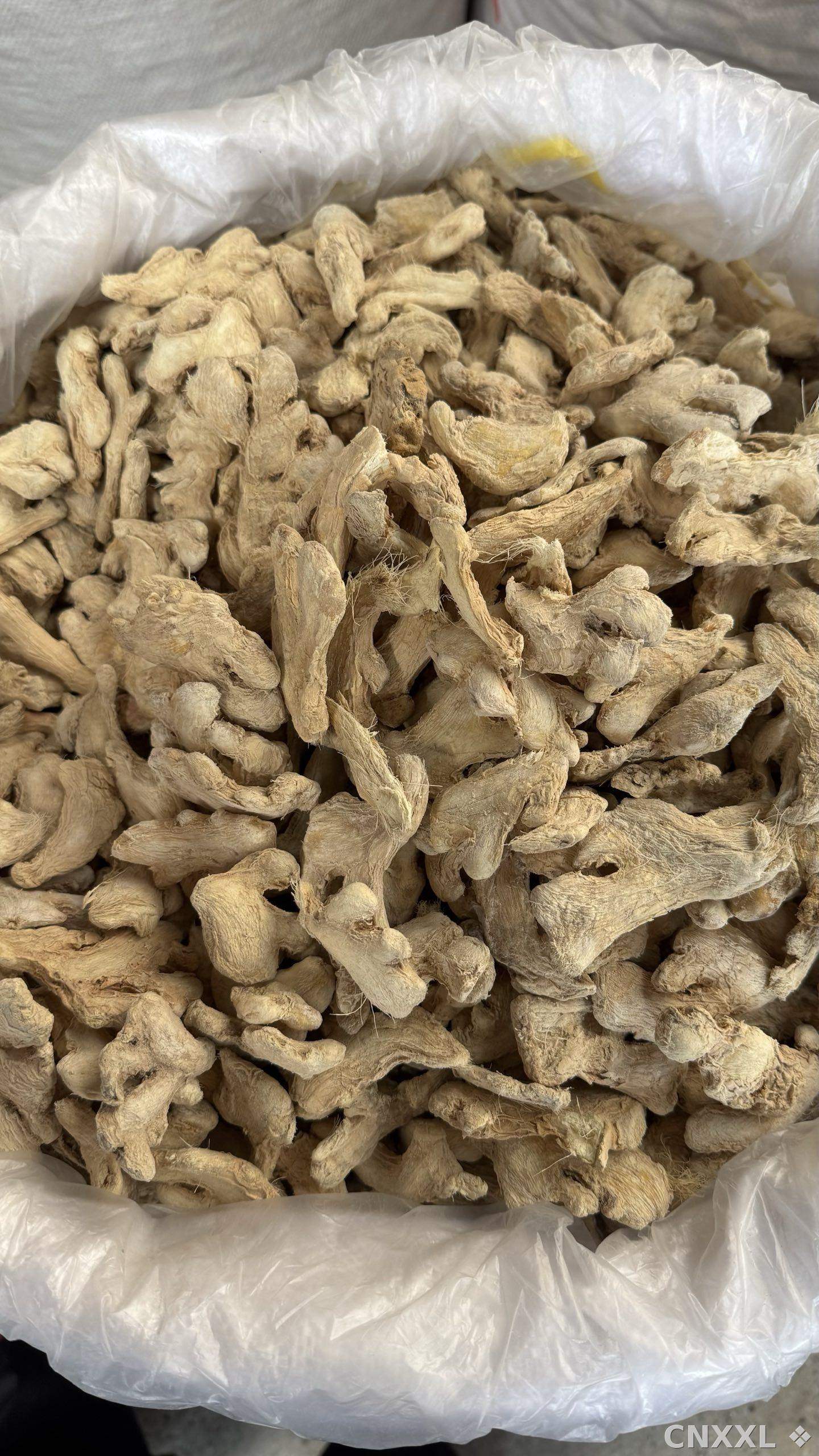 spice_194_434d3ebe_3.jpg