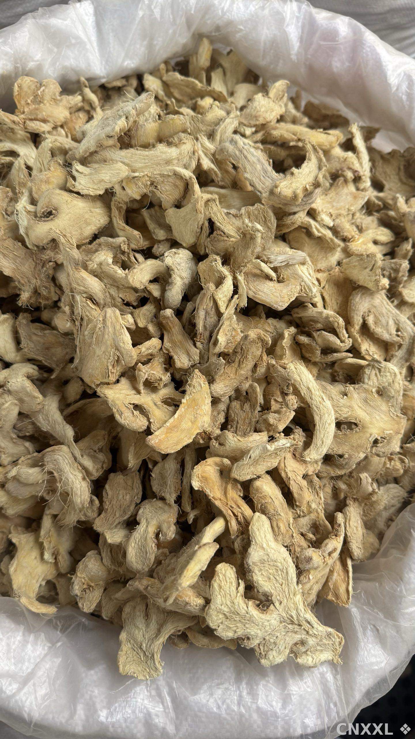 spice_198_82aa9983_3.jpg