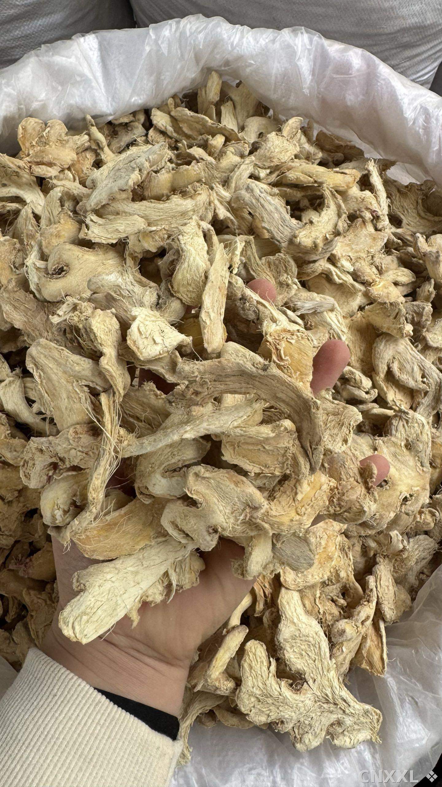 spice_198_a023cce3_1.jpg