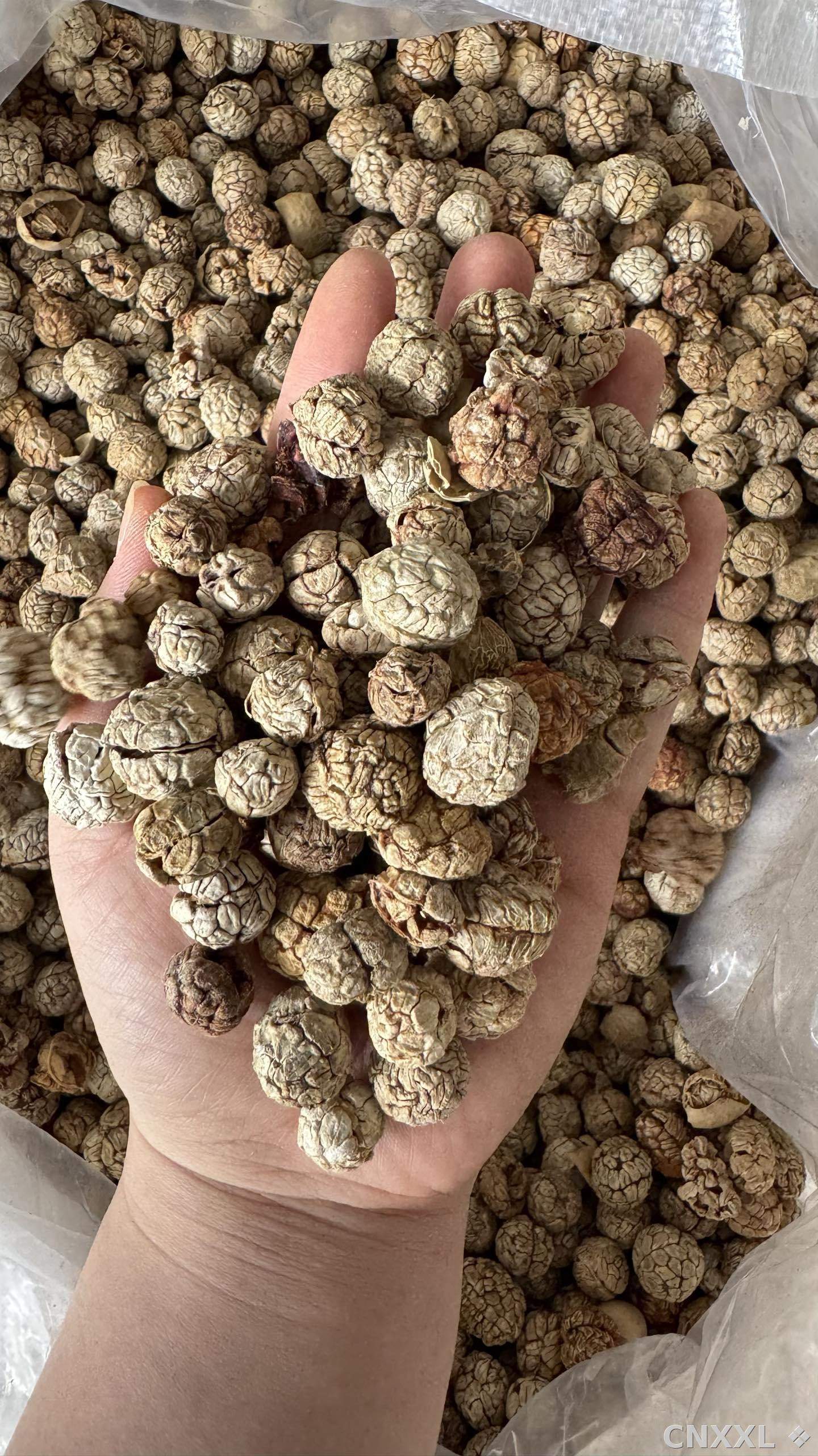 spice_19_b3f2a8ec_1.jpg