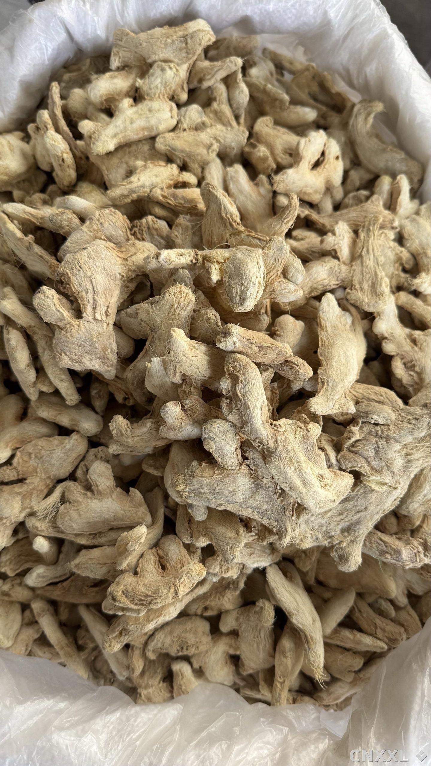 spice_200_c9afb3e6_3.jpg