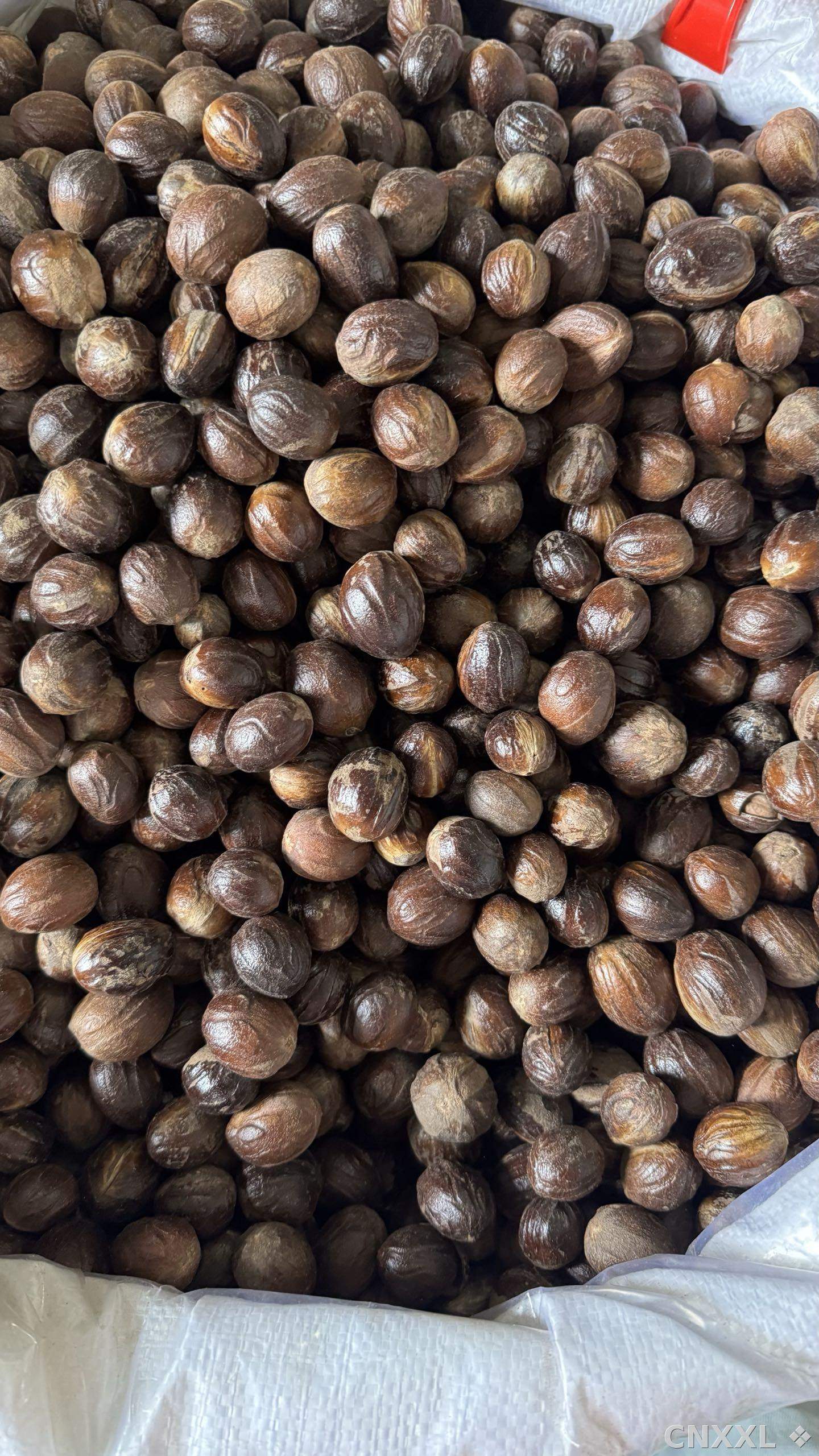 spice_203_8245e6b2_3.jpg