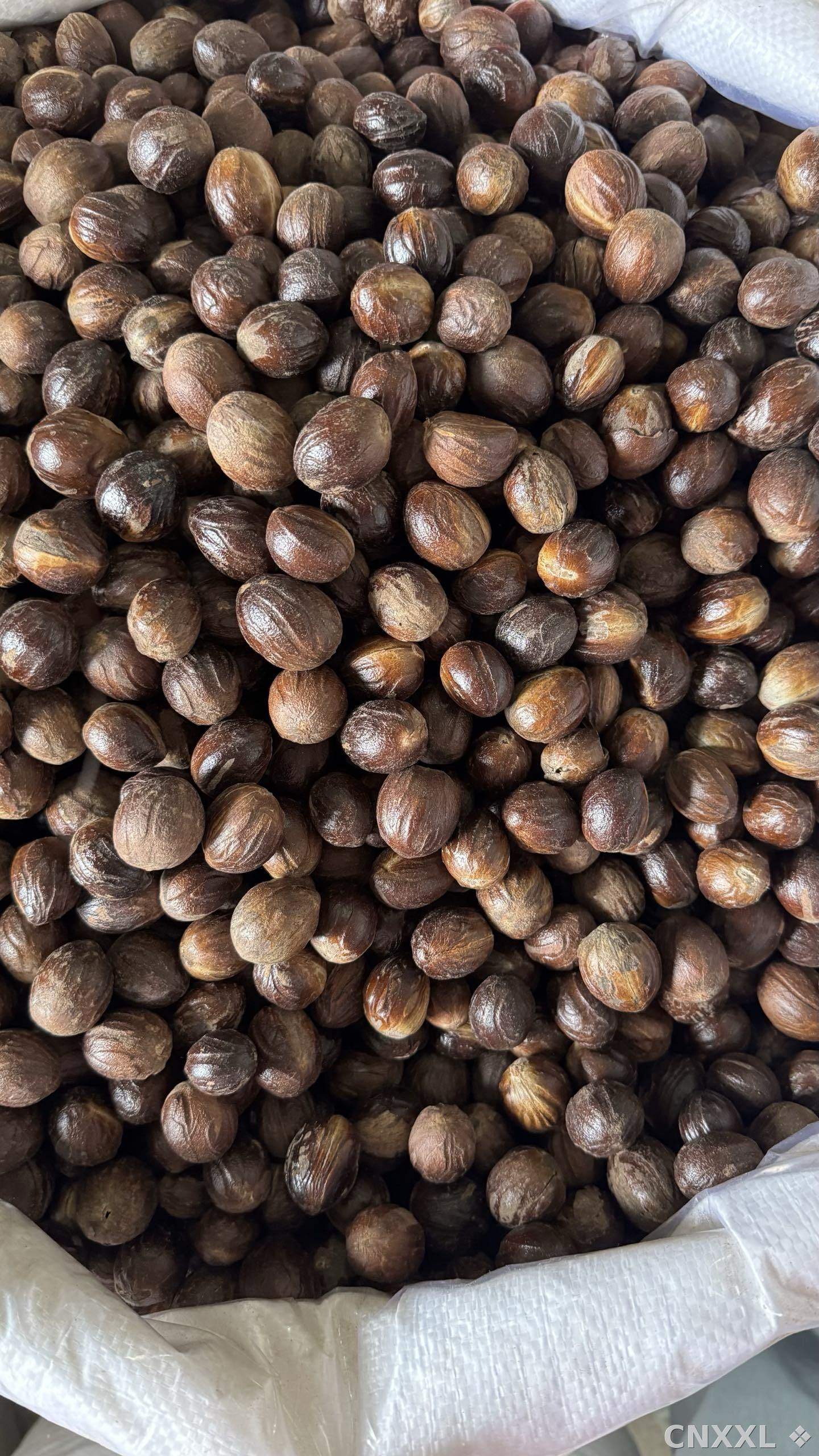 spice_203_cbeb497d_2.jpg