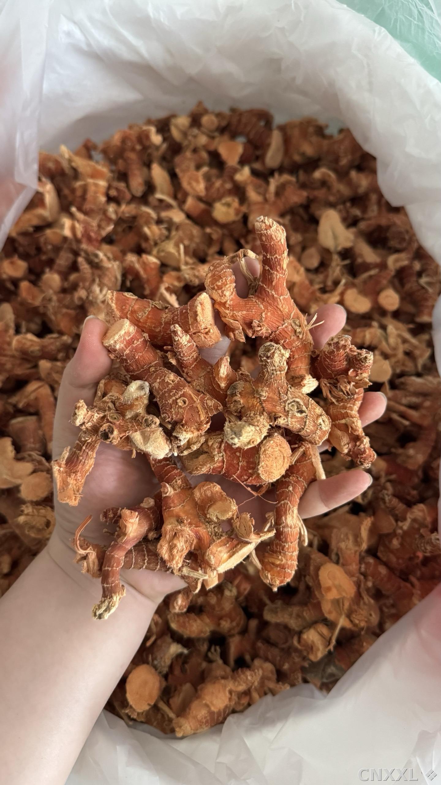 spice_21_4fe54c03_1.jpg
