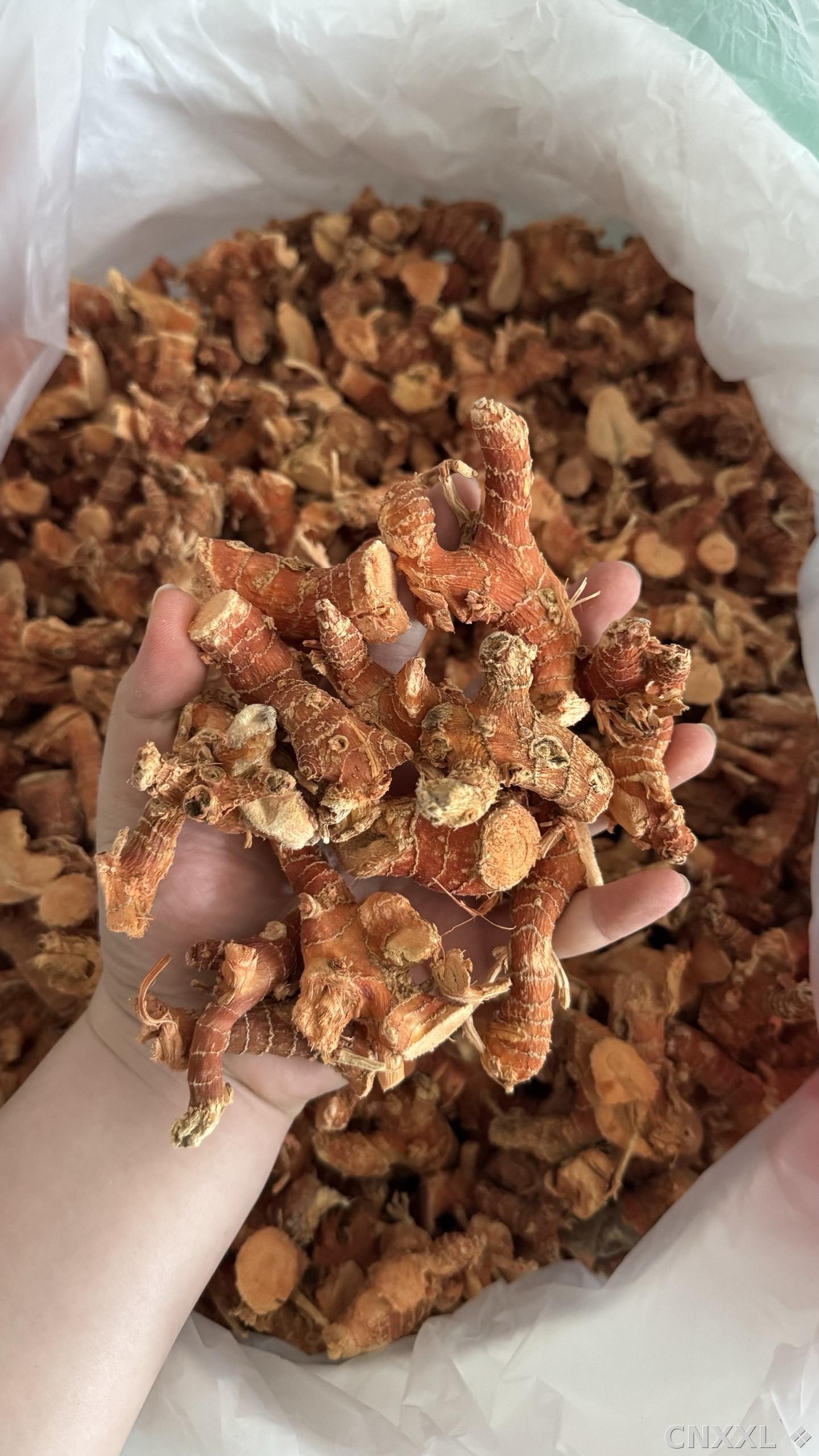 spice_21_c18b35c8_2.jpg