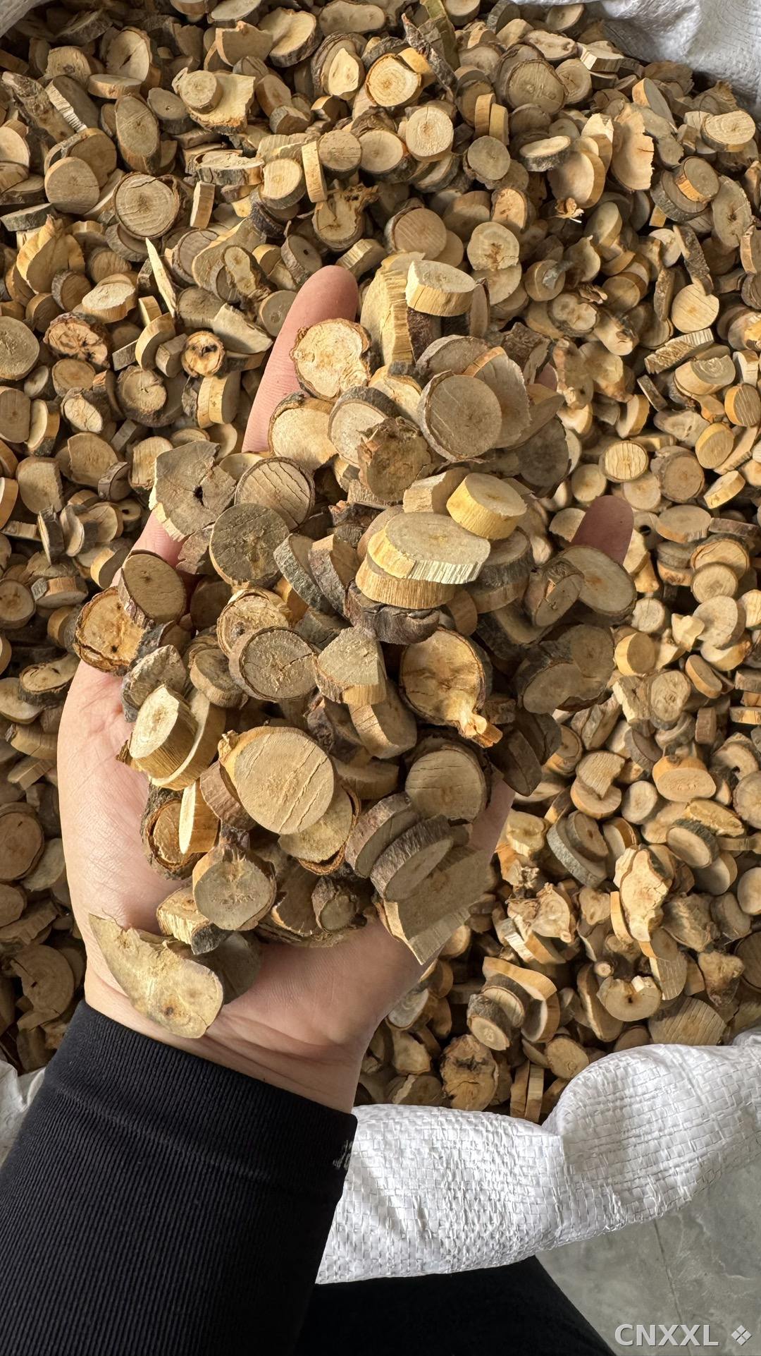 spice_2765_6fc4df77_2.jpg