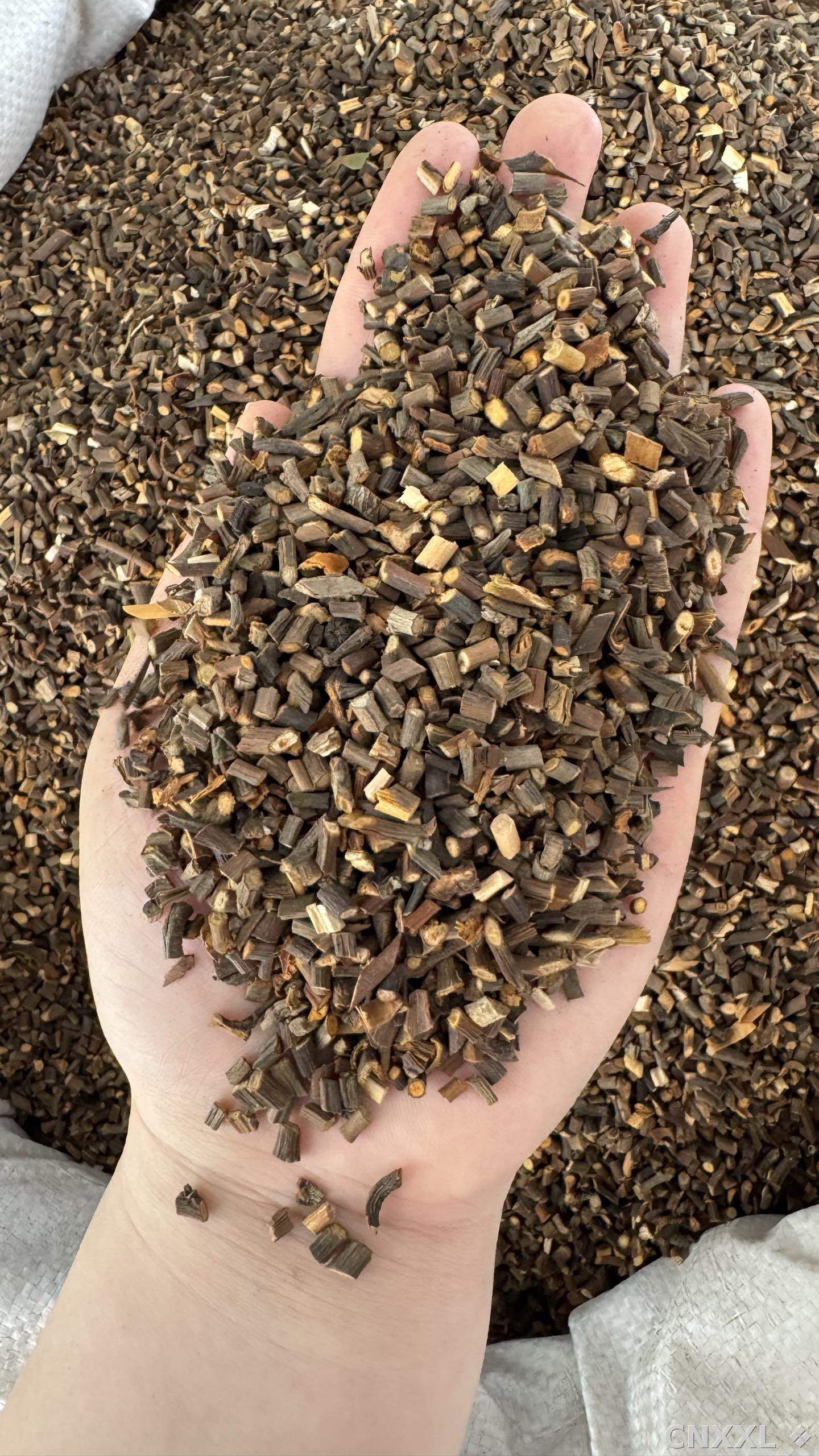 spice_2766_b5cdf725_2.jpg